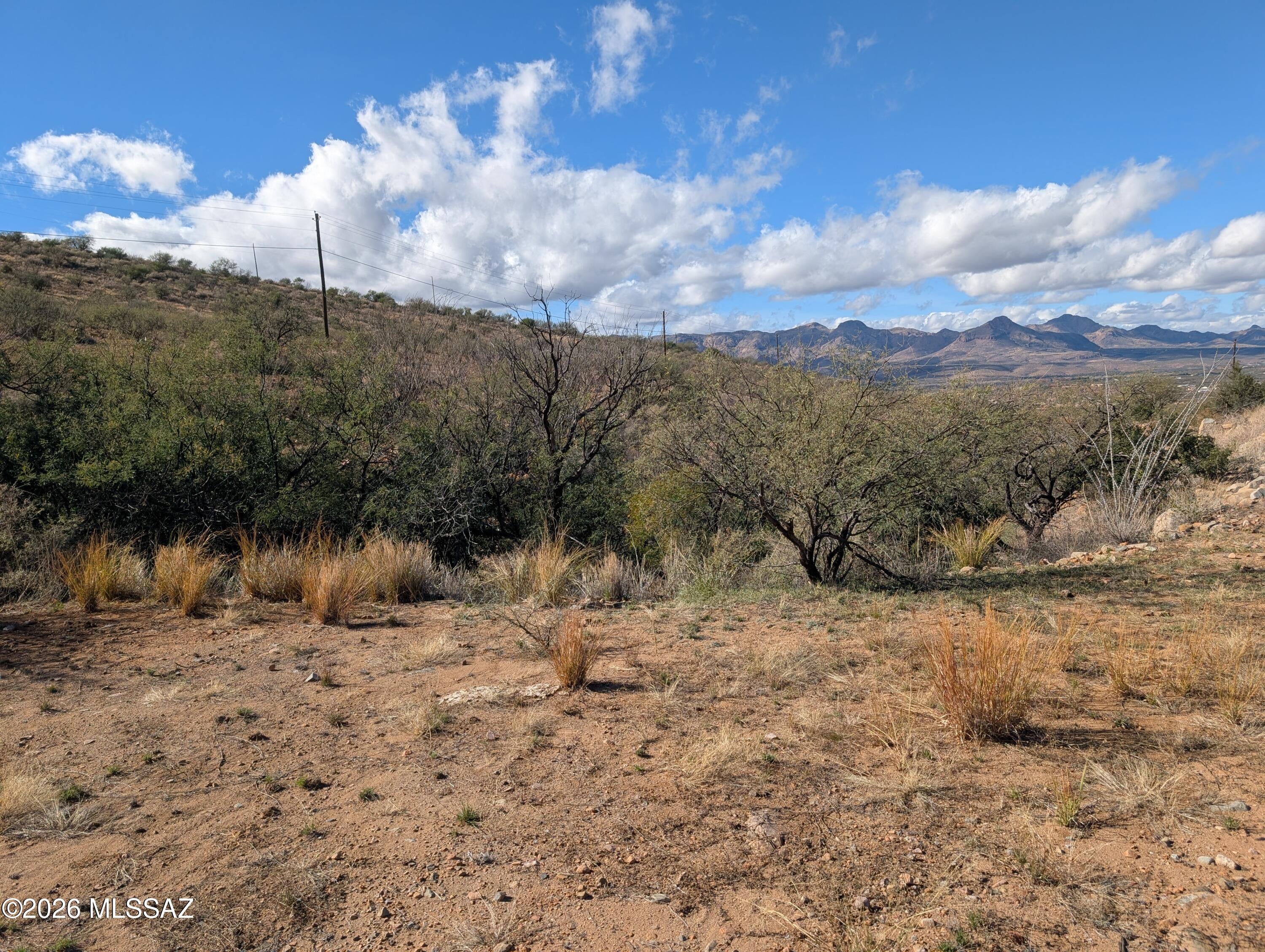 Rio Rico Ranchettes 17 - Land