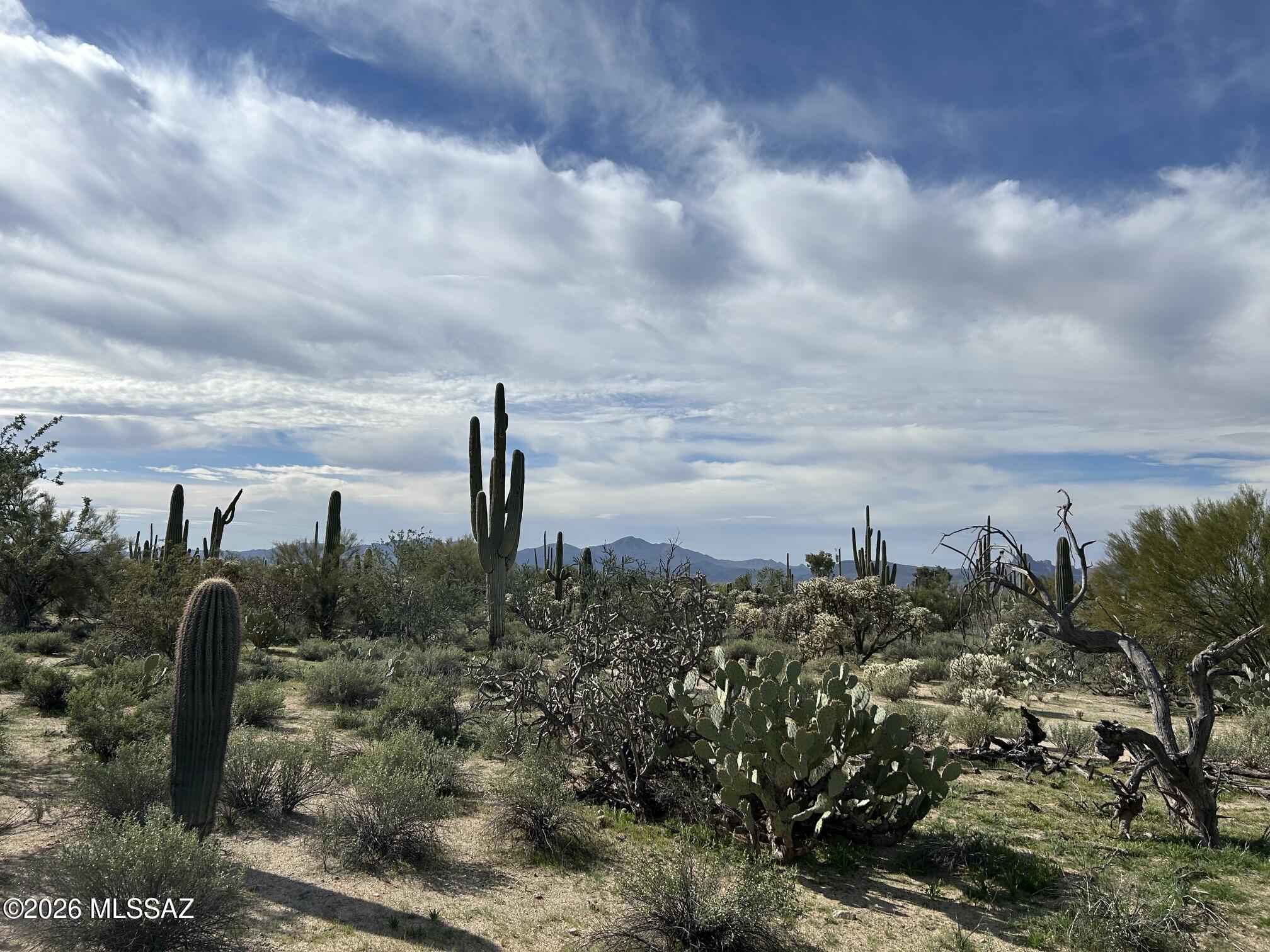 UNIQUE. 8.85 Acre PRISTINE, SONORAN DESERT SANCTUARY. Live amidst a RICH DIVERSITY of untouched Saguaros. Barrell, Ocotillo, Palo Verde and native wildlife. Enjoy panoramic views of the surrounding mountain ranges. Level and  EASILY BUILDABLE topography allows multiple prime building sites with maximum privacy.  Property will be served by underground electric and Marana Water. Perfectly suited for a private mini ranch.  Family enclave or stunning custom retreat. Property will be deed restricted to allow no more than two homesites ensuring future privacy. Minutes to I-10, Oro Valley. and Dove Mountain., offers rural charm with city convenience. One-of-a-kind property - schedule your private showing today.
