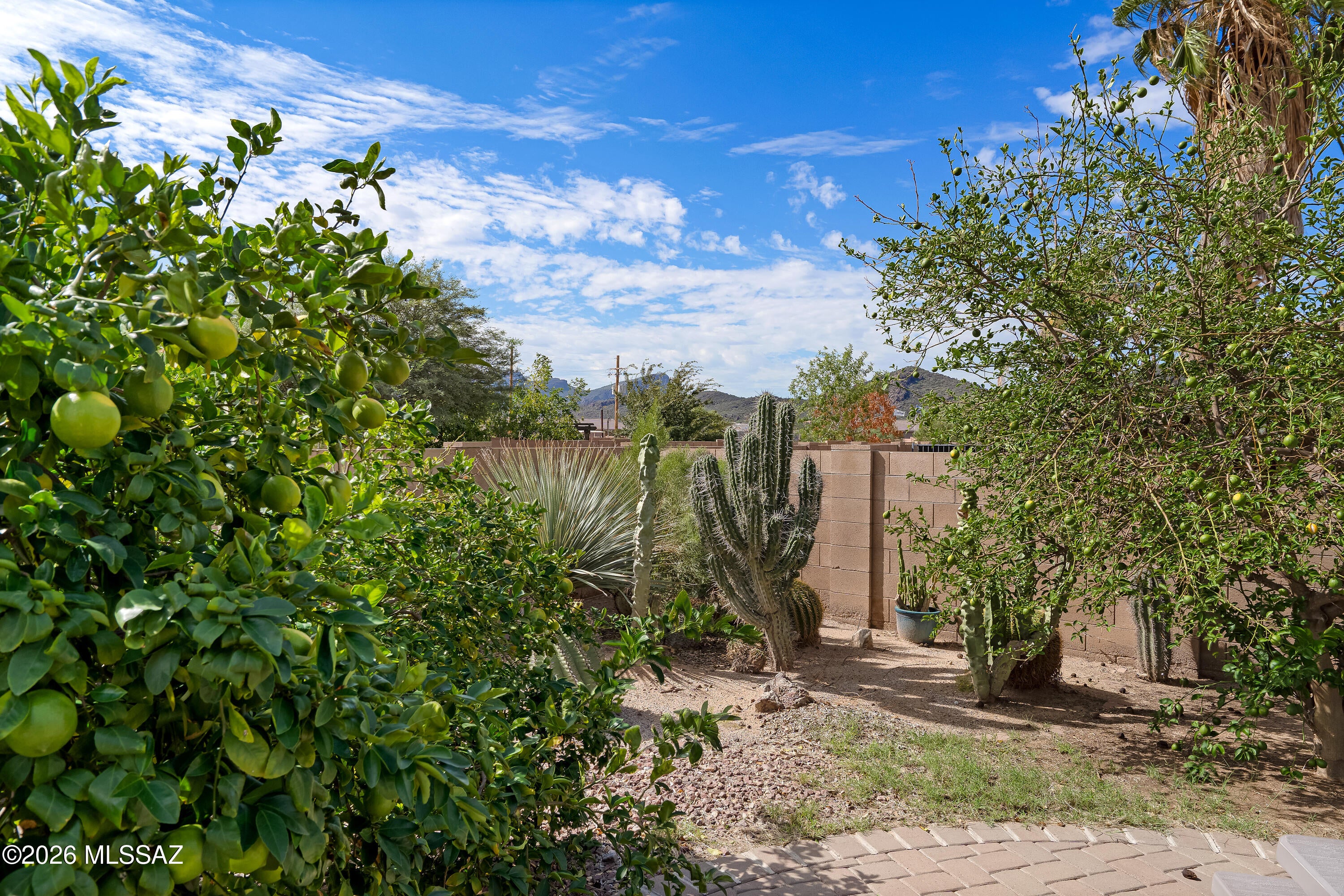 El Rio At Continental Ranch (1-102) - Residential
