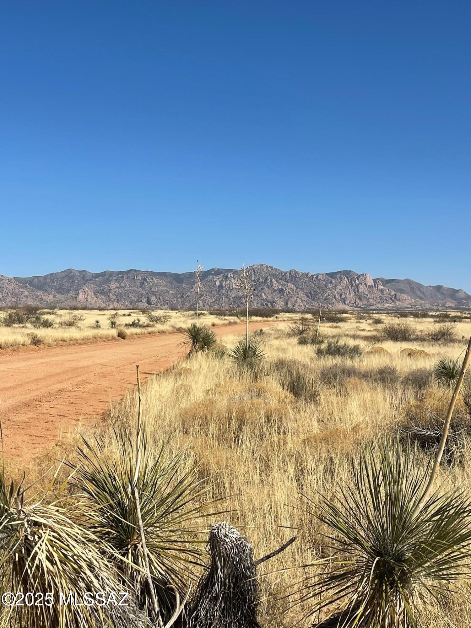 Owner Financing offered on Large rolling 36 ac Parcel, Adjacent lot offered on seprate listing, combine for a 72 + ac ranchette. The lots share a lower drainage with trees and used by deer and the many other native animals in the area. Lots border a 7000 + ac ranch with a cattle pond near by.
The Dragoon Mtn Ranch has over 14000 ac Great for horses or just massive views and quiet days / Nights