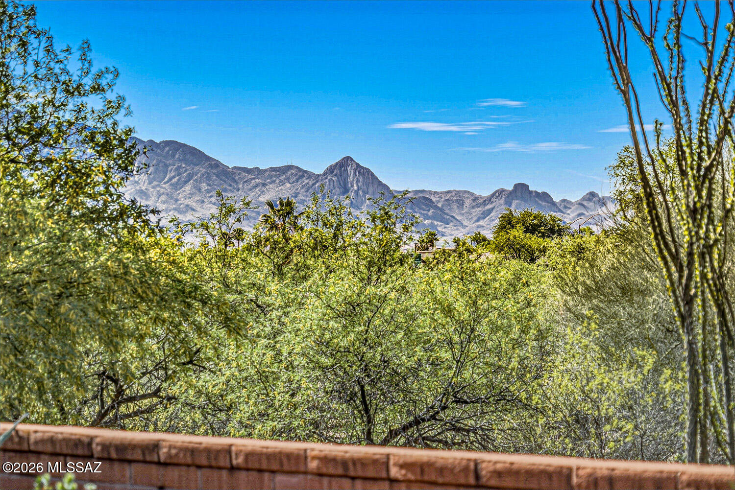 Continental Vistas(1-302) - Residential
