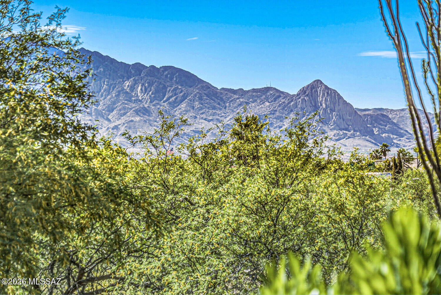 Continental Vistas(1-302) - Residential