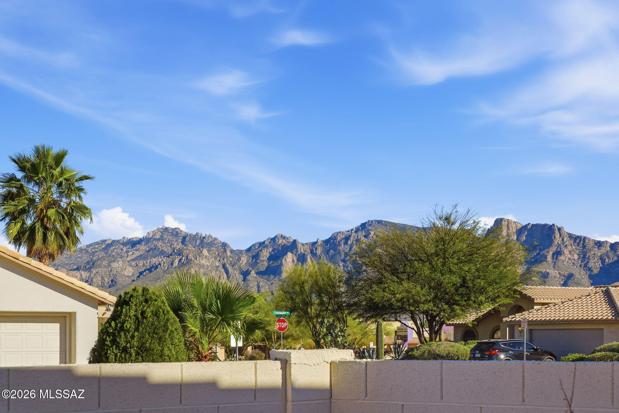 Rancho Vistoso Neighborhood 7 (1-317) - Residential