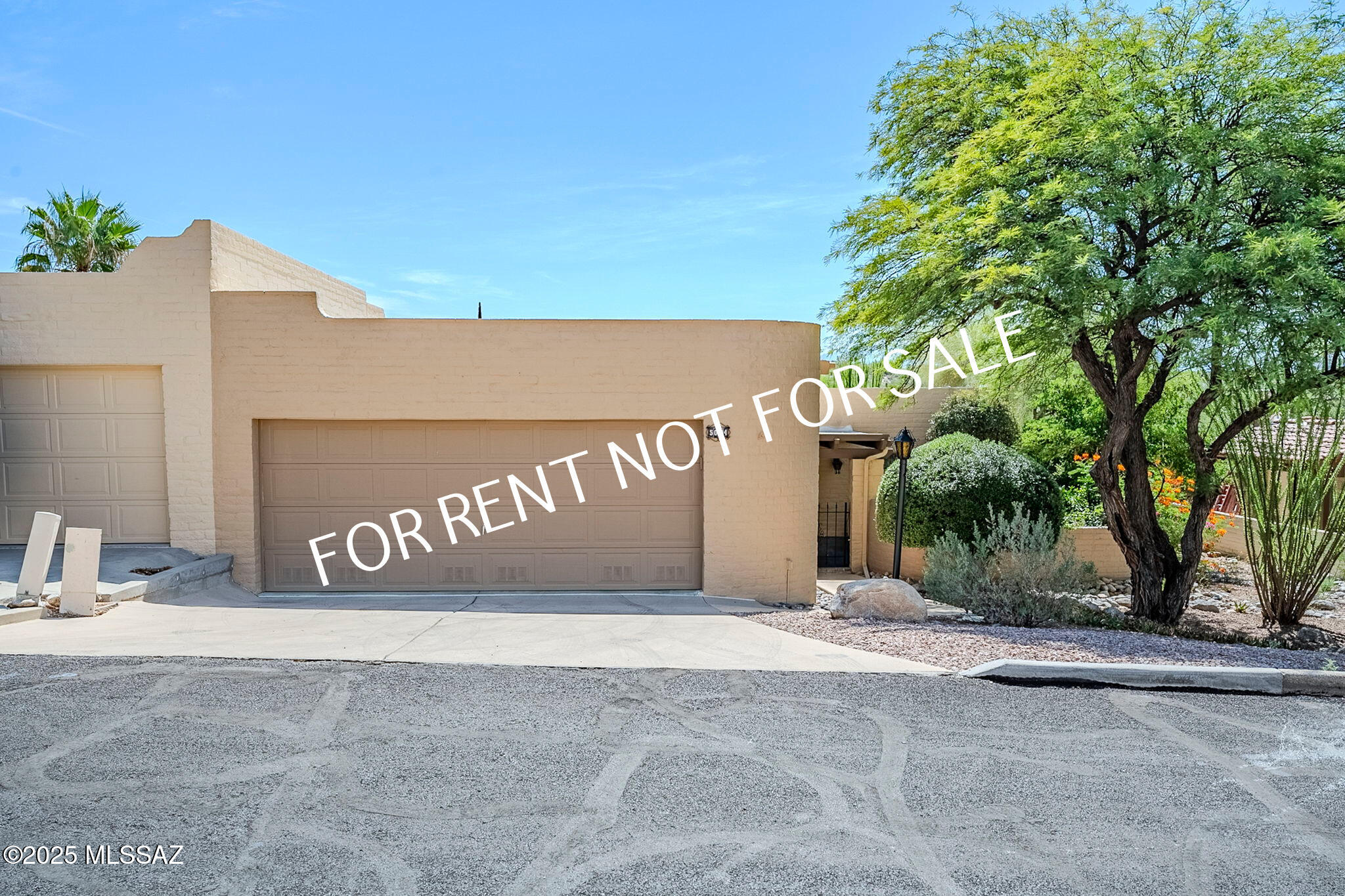 Sunrise Presidio Townhomes (1-297) - Residential Lease