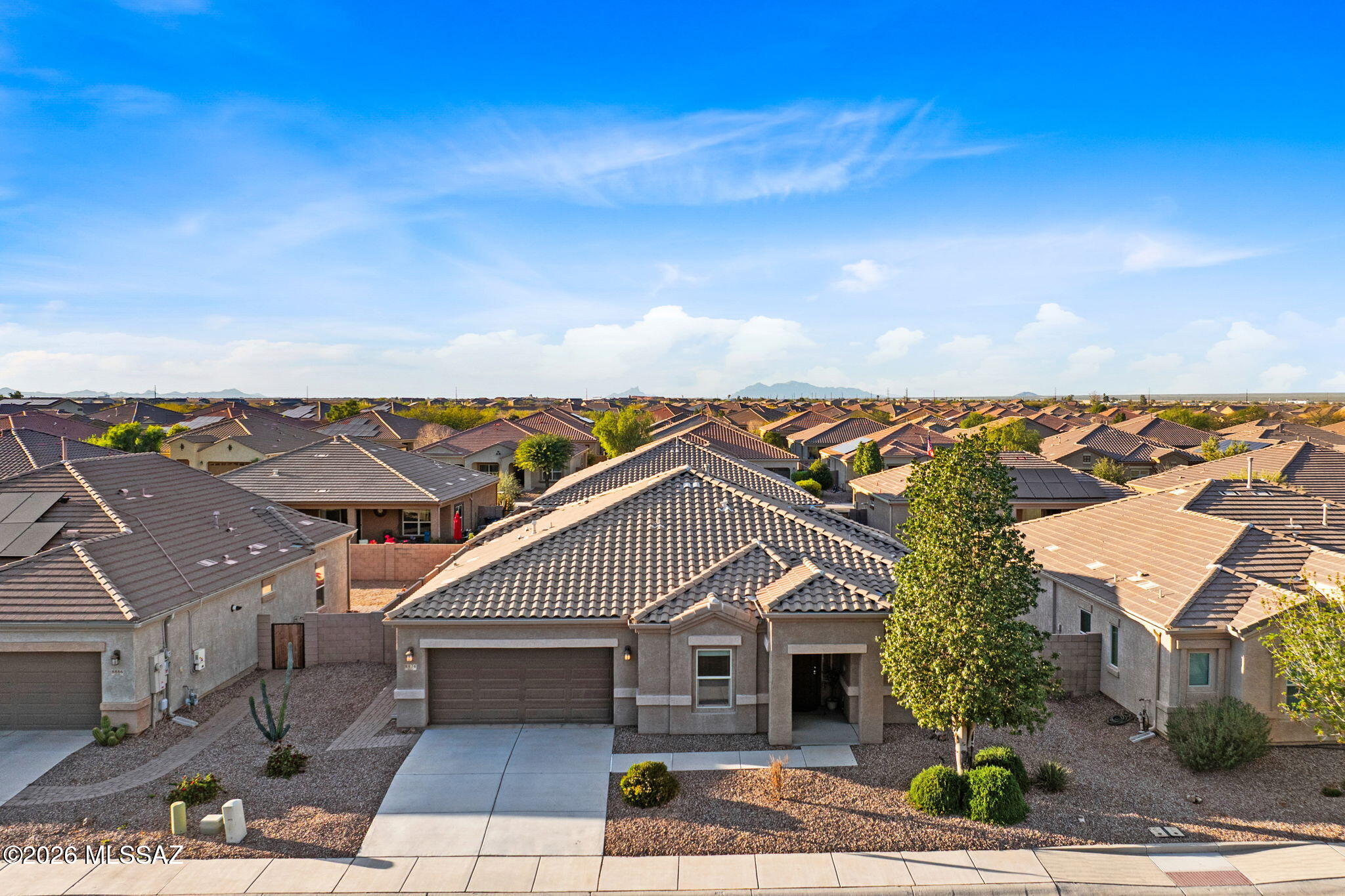 Saguaro Bloom 7B - Residential