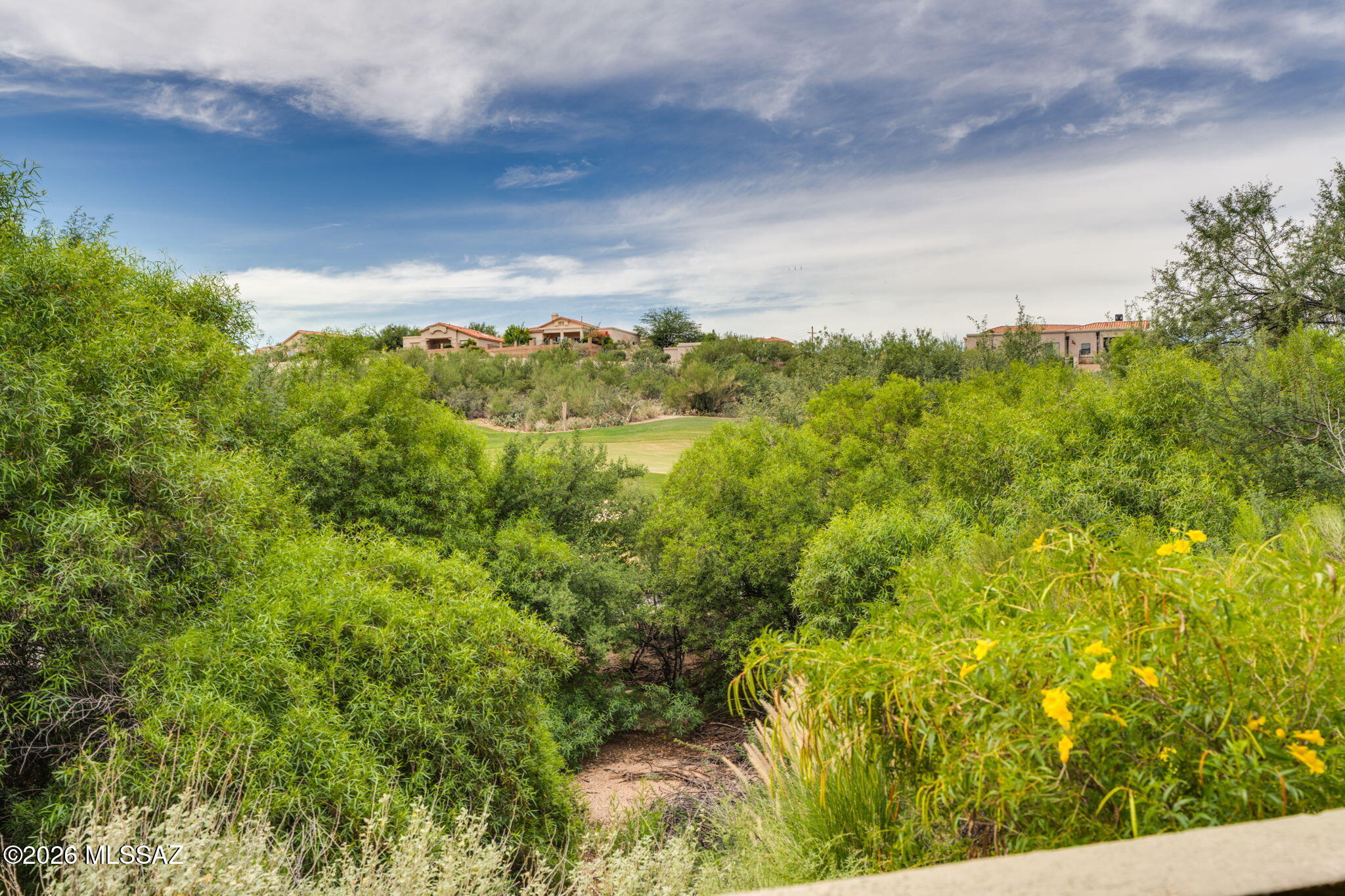 Greens at Ventana Canyon - Residential