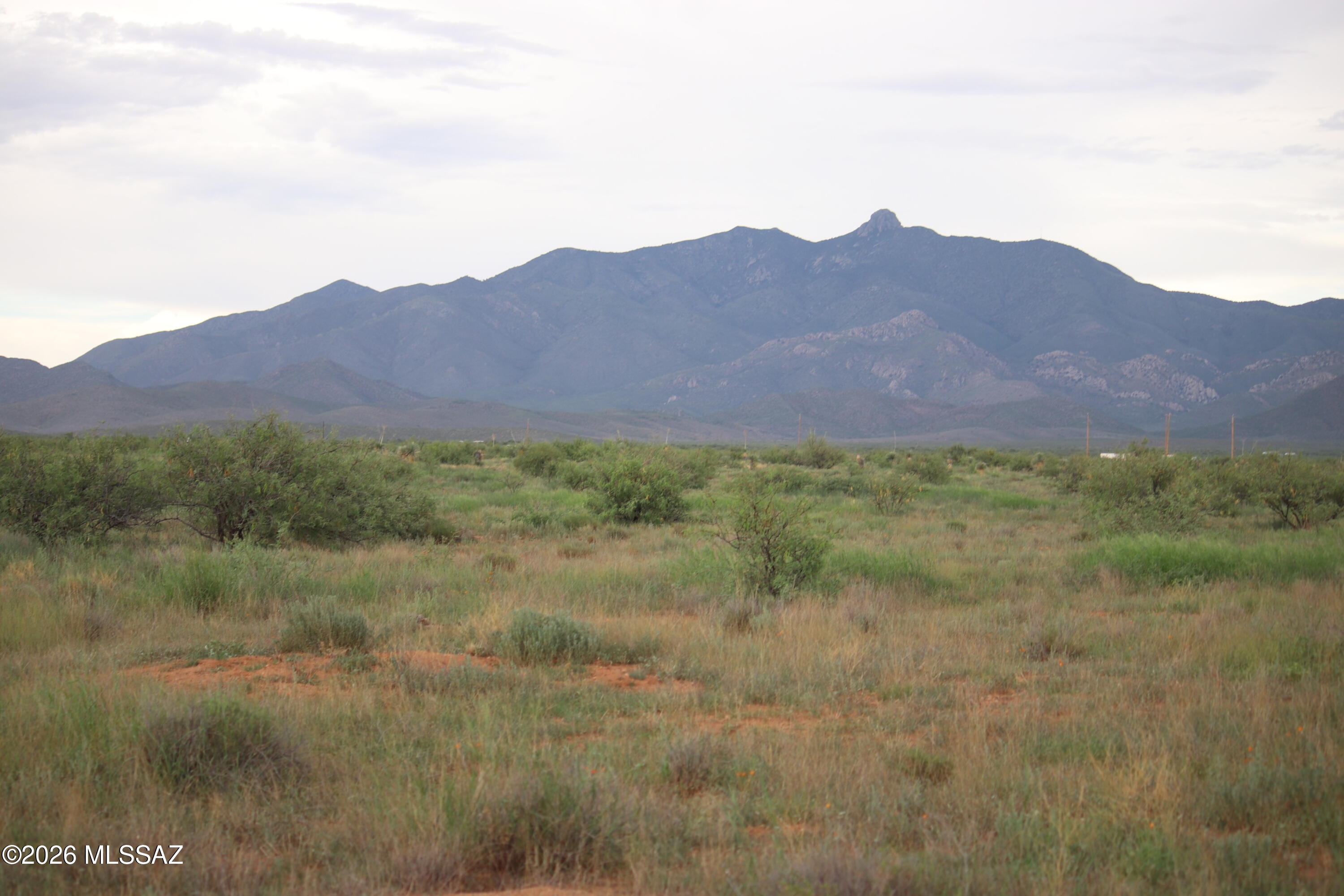 Beautiful Corner lot with stunning mountain views, in the heart of Willcox wine country.  This property has great soil and is flat, making it the perfect spot to build a home. You can have livestock, animals, grow a garden, and enjoy the rural country lifestyle. A survey has been carried out, and seller is selling 37.30 acres of their property. Located south of I-10, this property is easy to access, making it an easy commute to the town of Willcox for shopping, doctors, and other amenities. Surrounding areas include Tombstone, Benson, and Tucson.