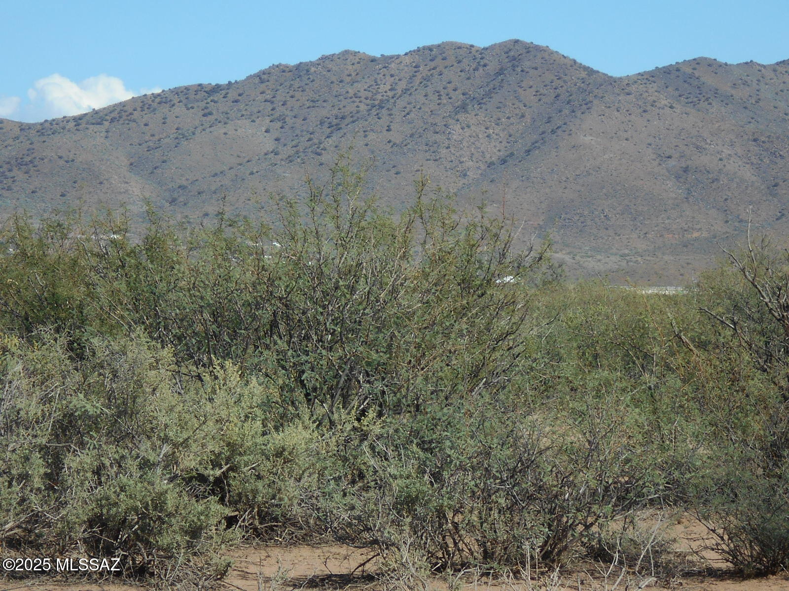HUGE PRICE REDUCTION on this BEAUTIFUL parcel, just under 37 Acres on Old Stewart Road, just outside of Willcox and very handy to the interstate. This parcel has electricity on 2 sides of it, for easy development, is on a paved road, and has lovely views of the surrounding mountain ranges! Peace and quiet, dark night skies, with a good-sized footprint, privacy, seasonal pond, wildlife galore, and still convenient to all the amenities in Willcox! Build a custom home, new manufactured home, or just have a property to get away to, with plenty of privacy. This would be a great place to build a horse property, small ranch, or just a nice, convenient location, with plenty of elbow room!