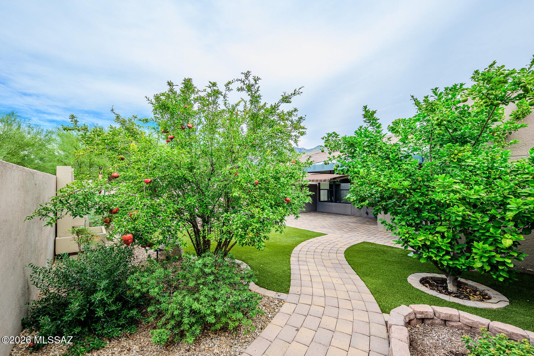 Greens at Ventana Canyon - Residential