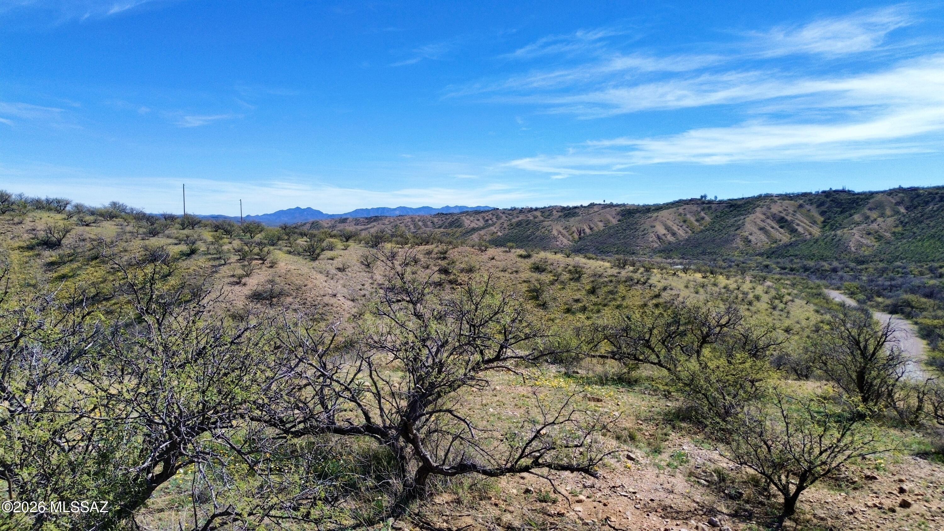 Rio Rico Estates 4 - Land