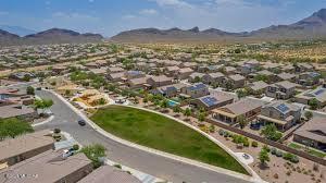 Saguaro Bloom 7B - Residential