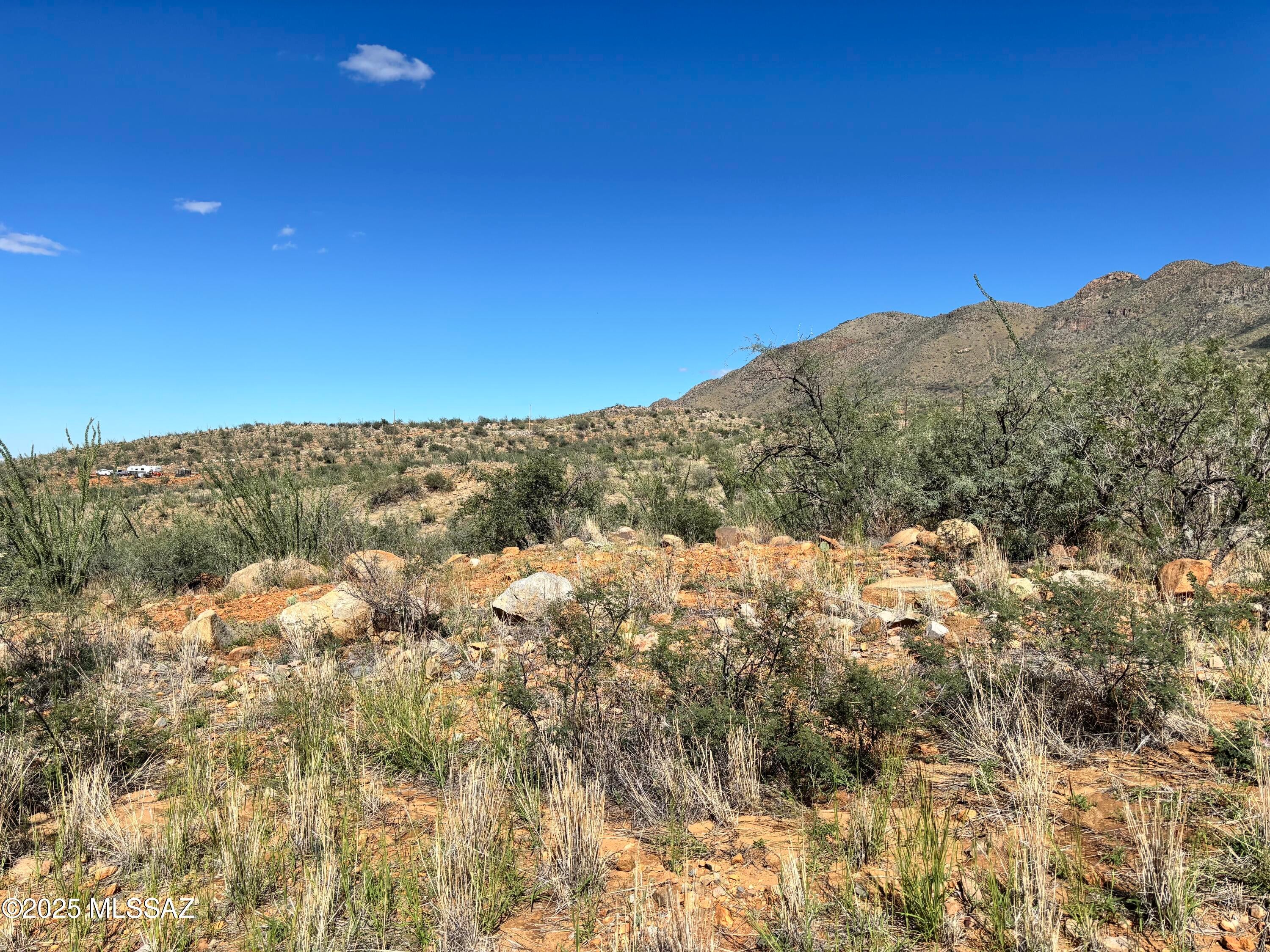 Rio Rico Ranchettes - Land