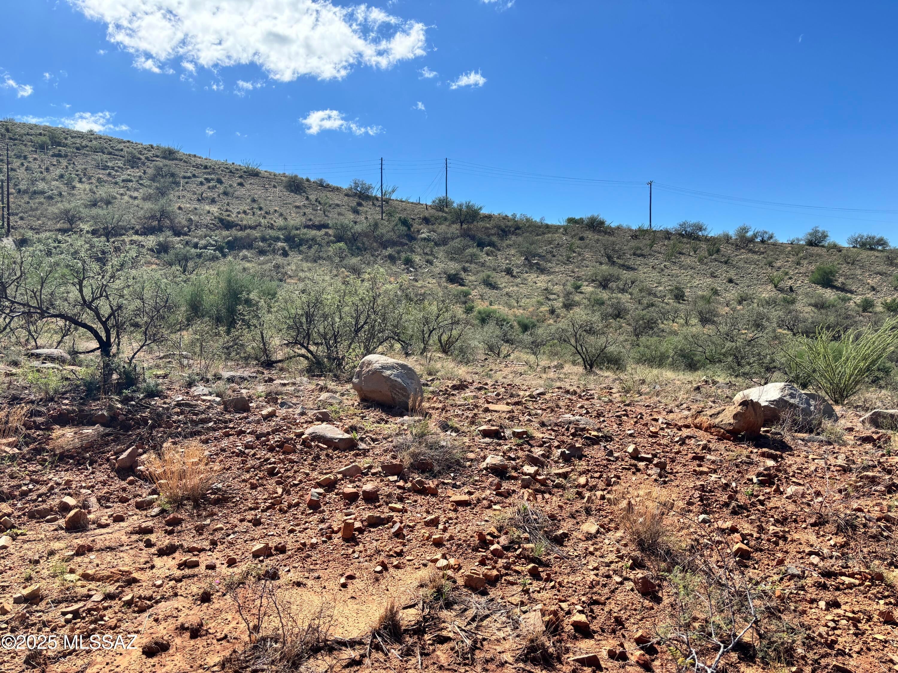 Rio Rico Ranchettes - Land