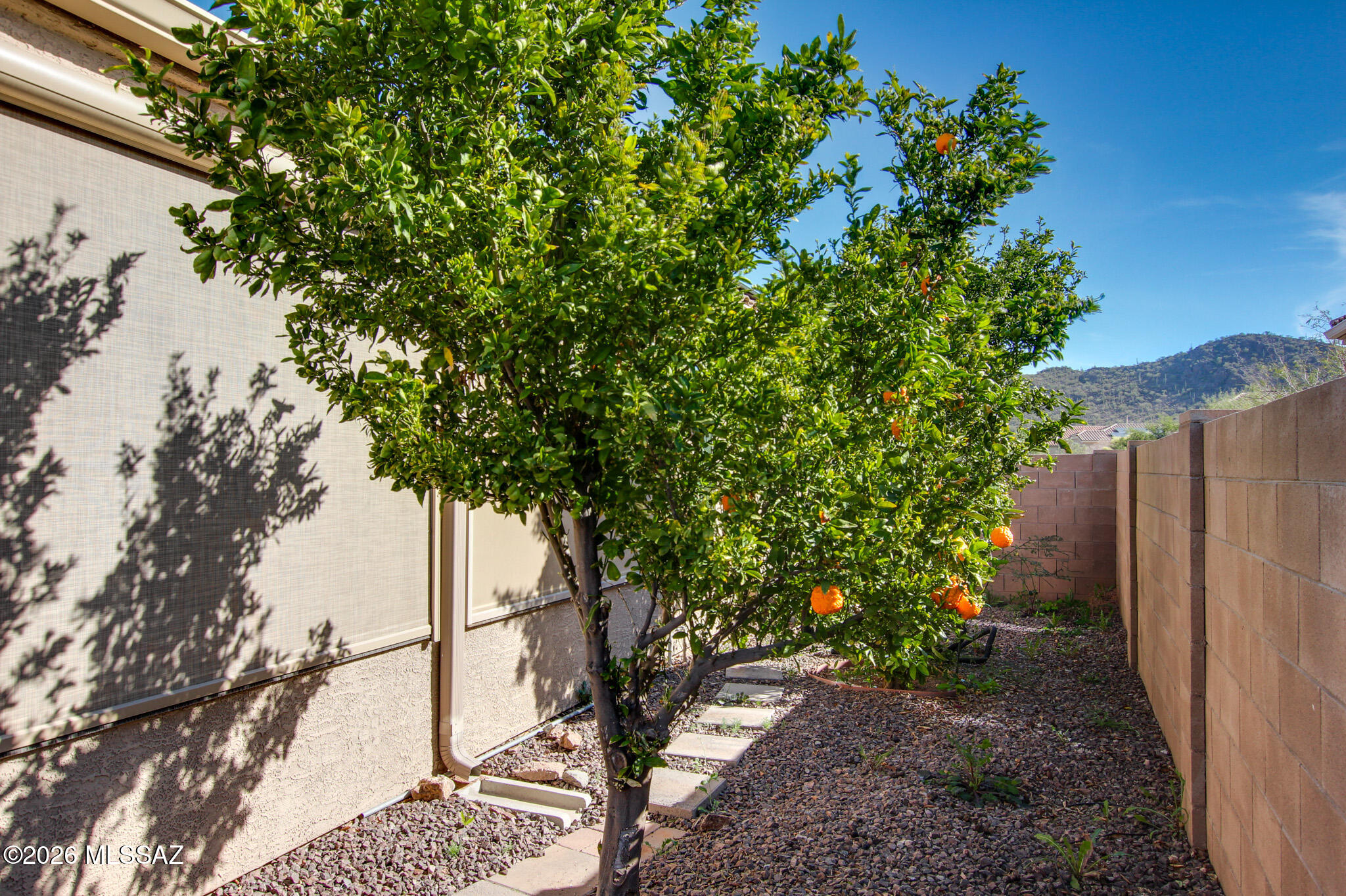Saguaro Springs Block 8B (131-399) - Residential