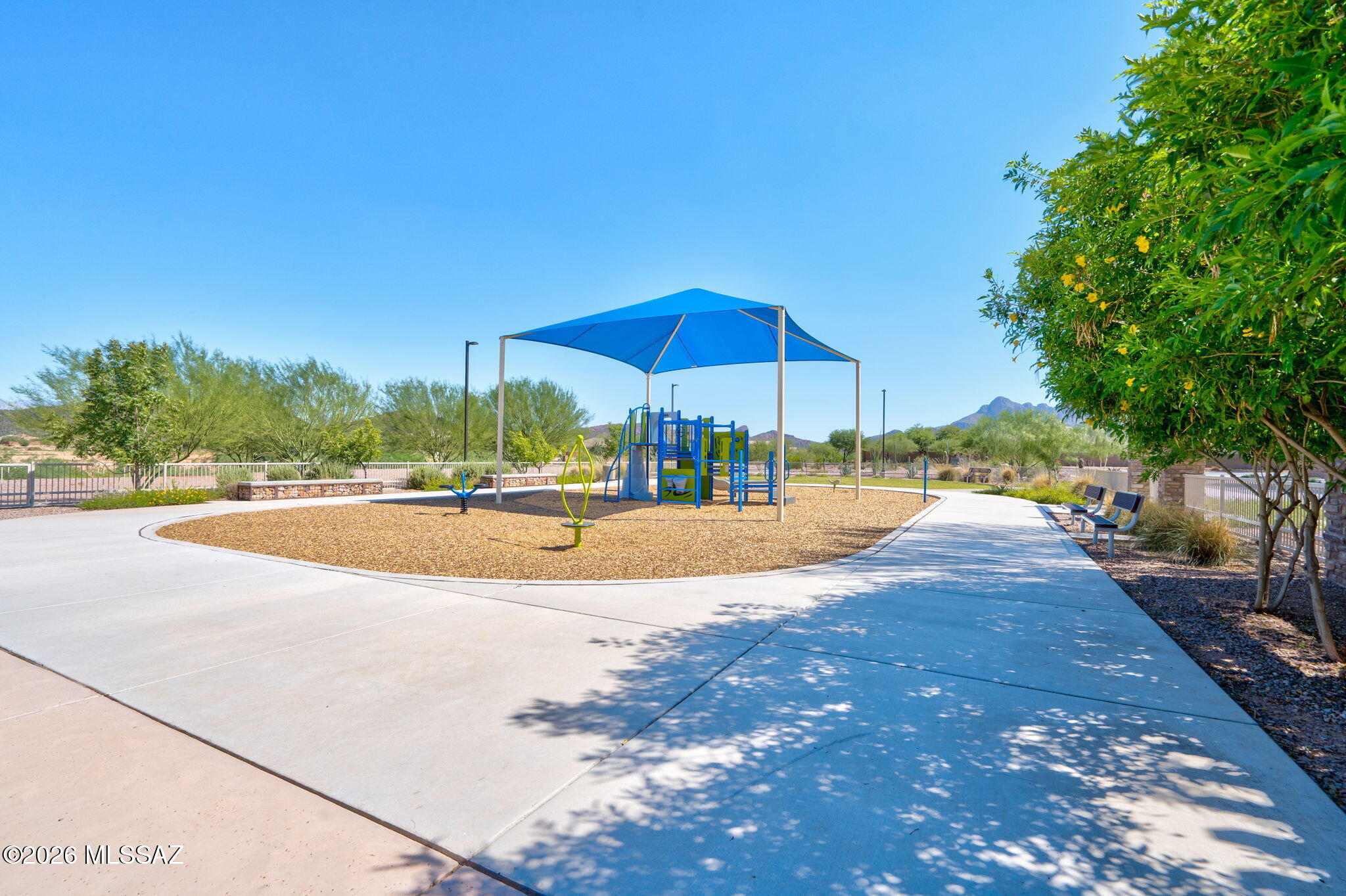 Saguaro Bloom 7A - Residential