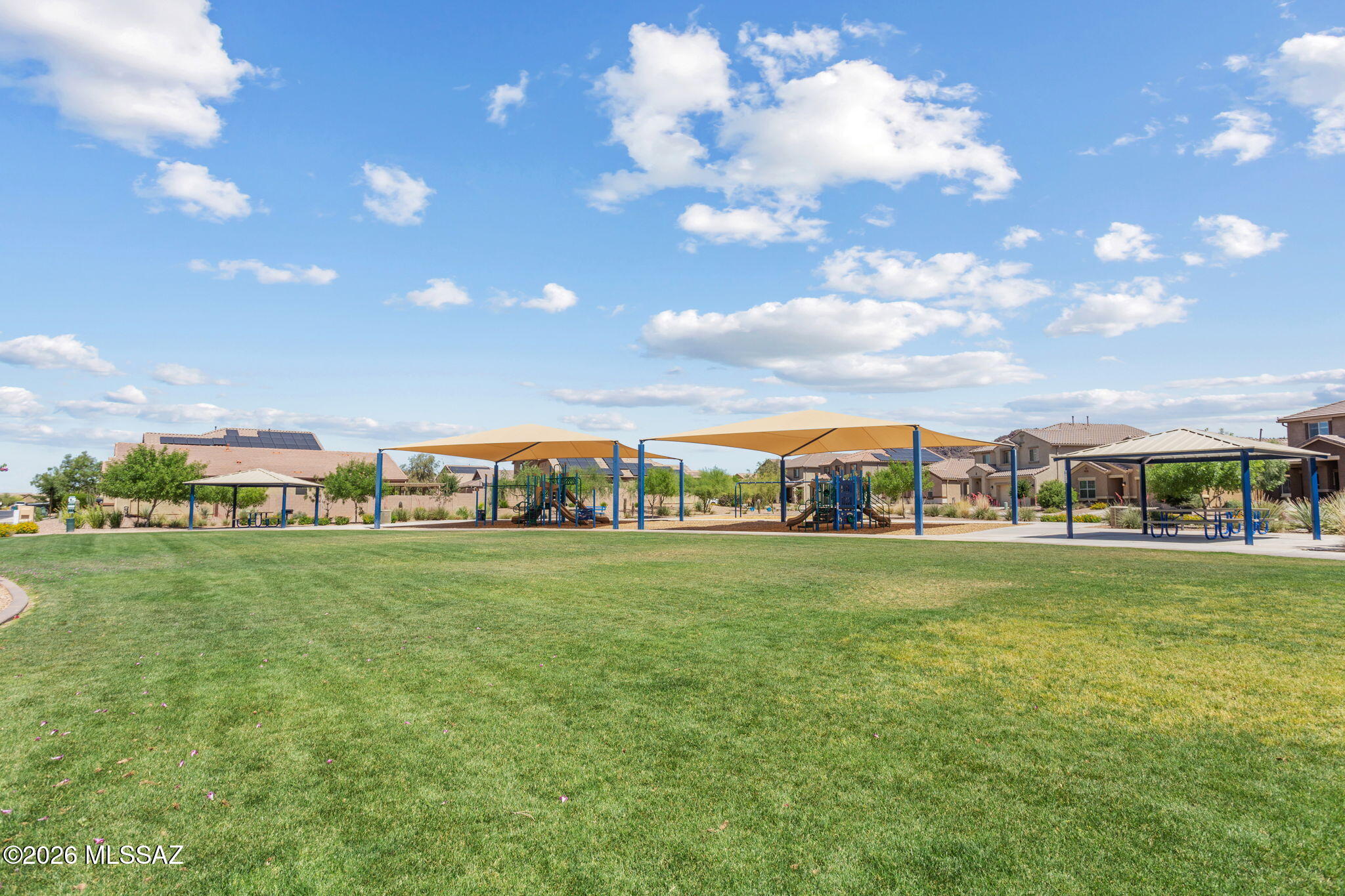 Saguaro Bloom 7A - Residential