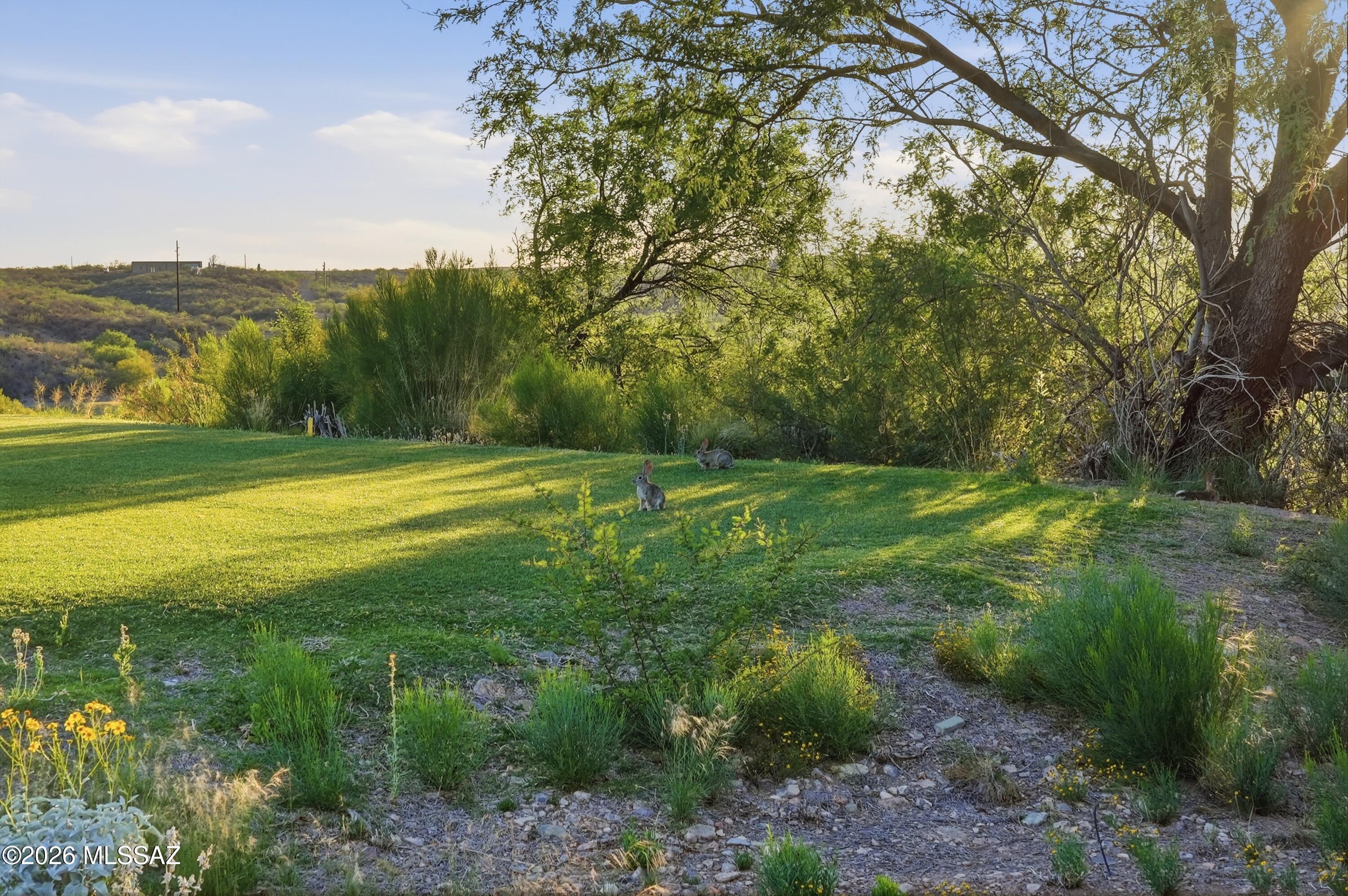 Canoa Ranch Block 22 & PTN Block 27 - Residential