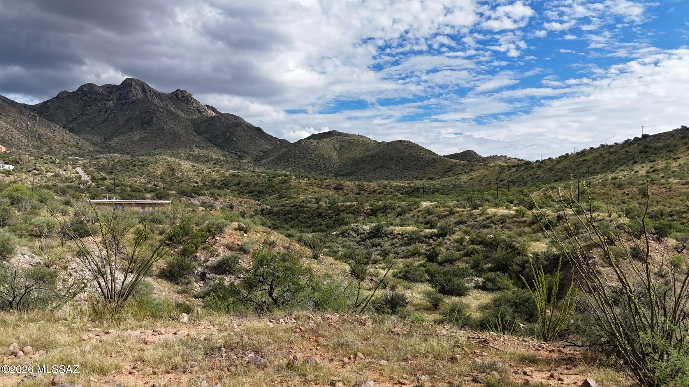 Rio Rico Ranchettes 17 - Land