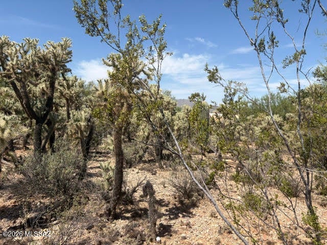 Tucson Mountain Vistas (1-34) - Land