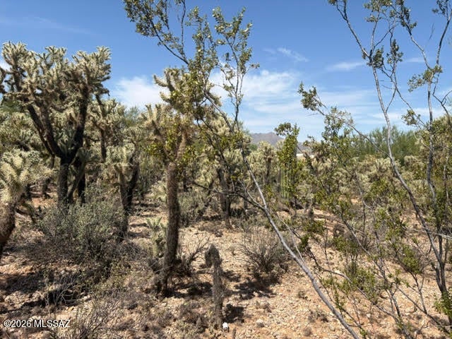 Tucson Mountain Vistas (1-34) - Land