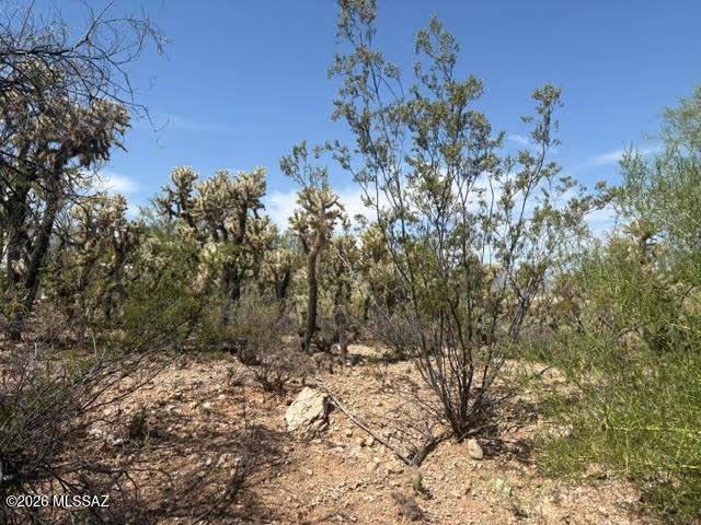 Tucson Mountain Vistas (1-34) - Land