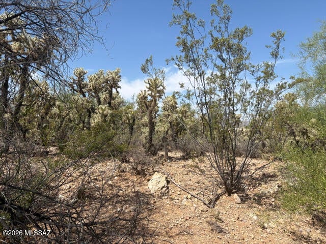 Tucson Mountain Vistas (1-34) - Land