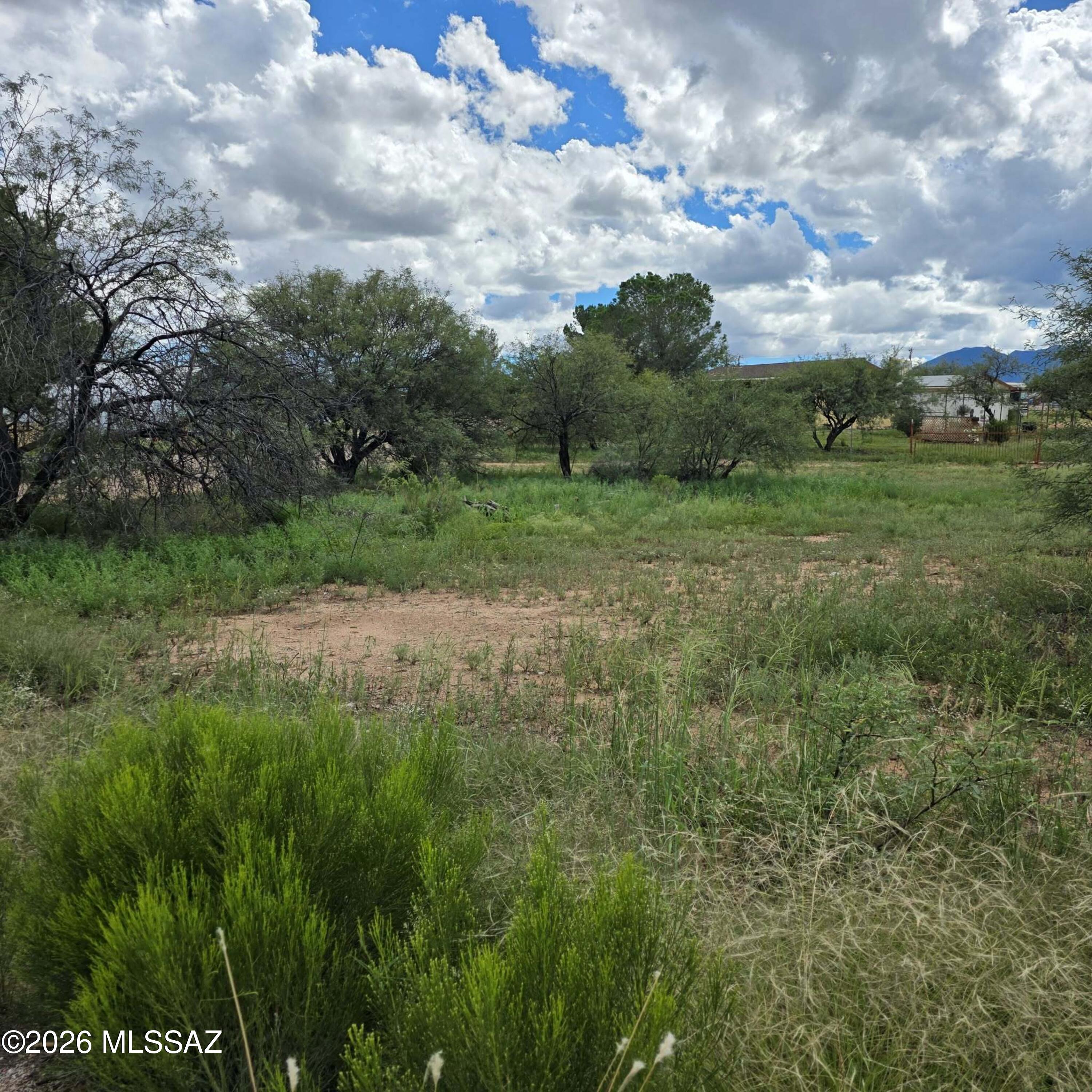Mescal Lakes - Land