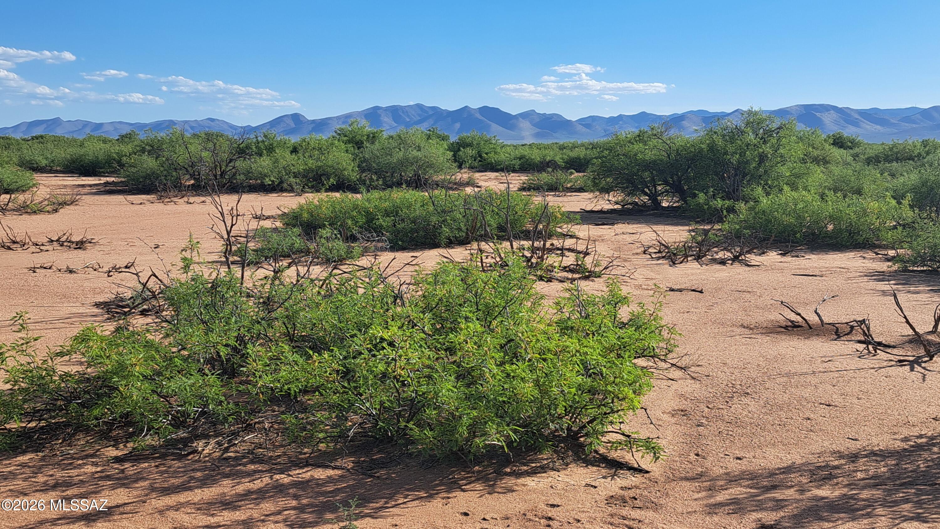 Tombstone Valley Ranches - Land