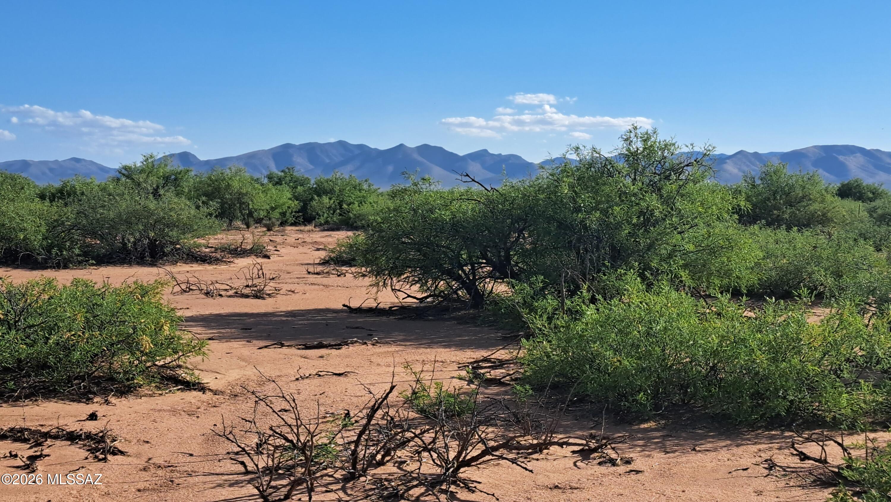 Tombstone Valley Ranches - Land