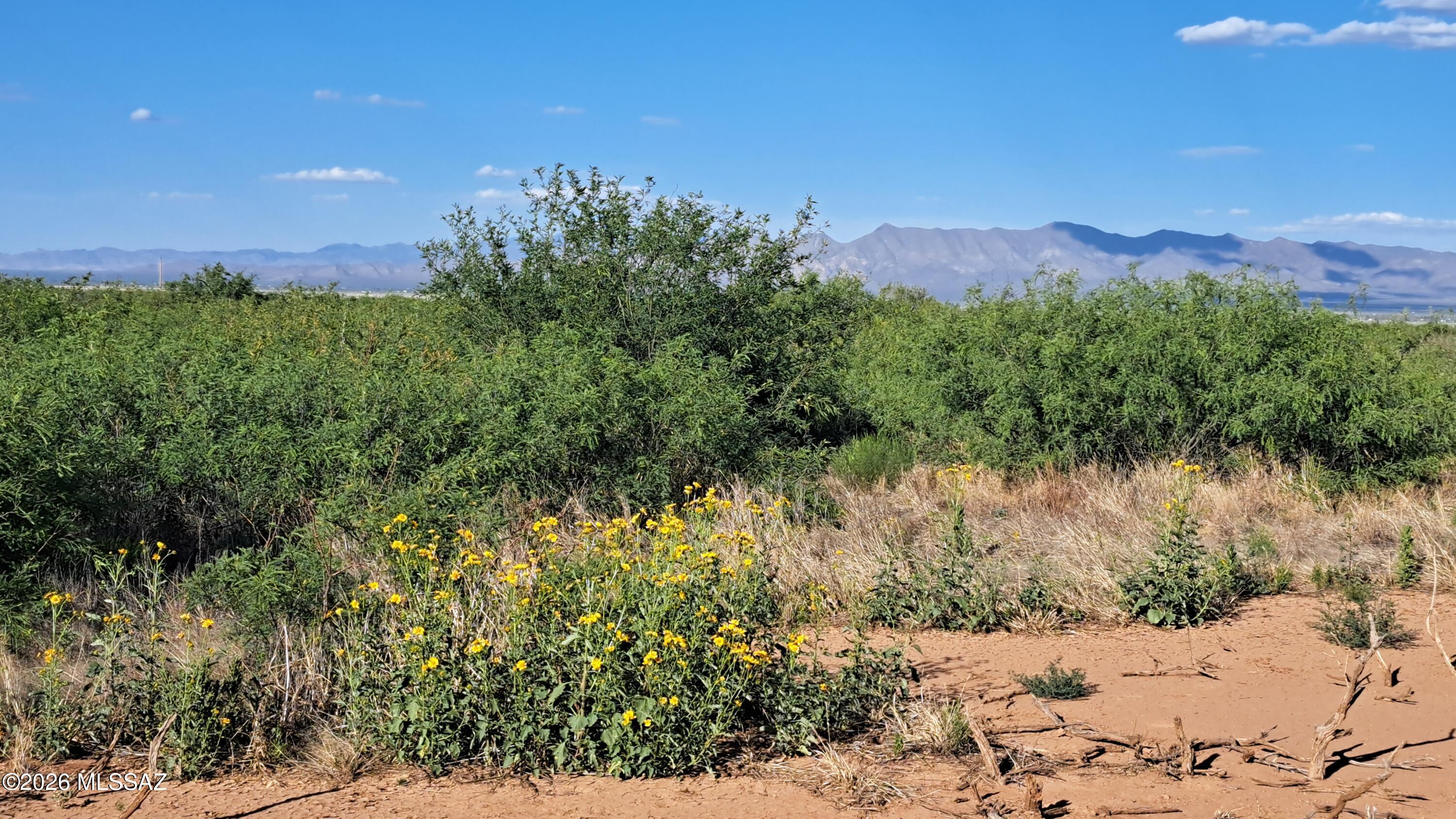 Tombstone Valley Ranches - Land