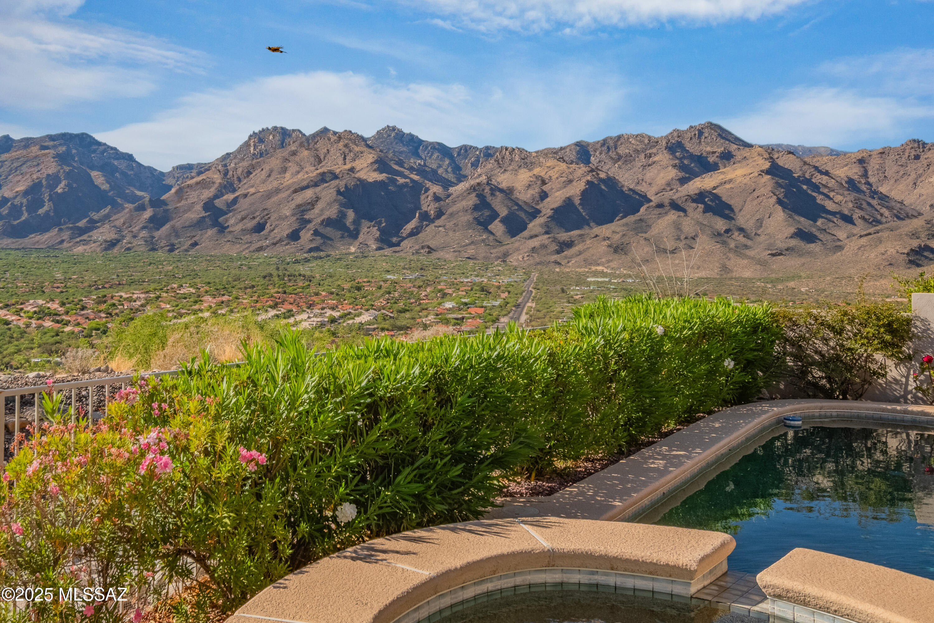 Sabino Mountain (1-290) - Residential