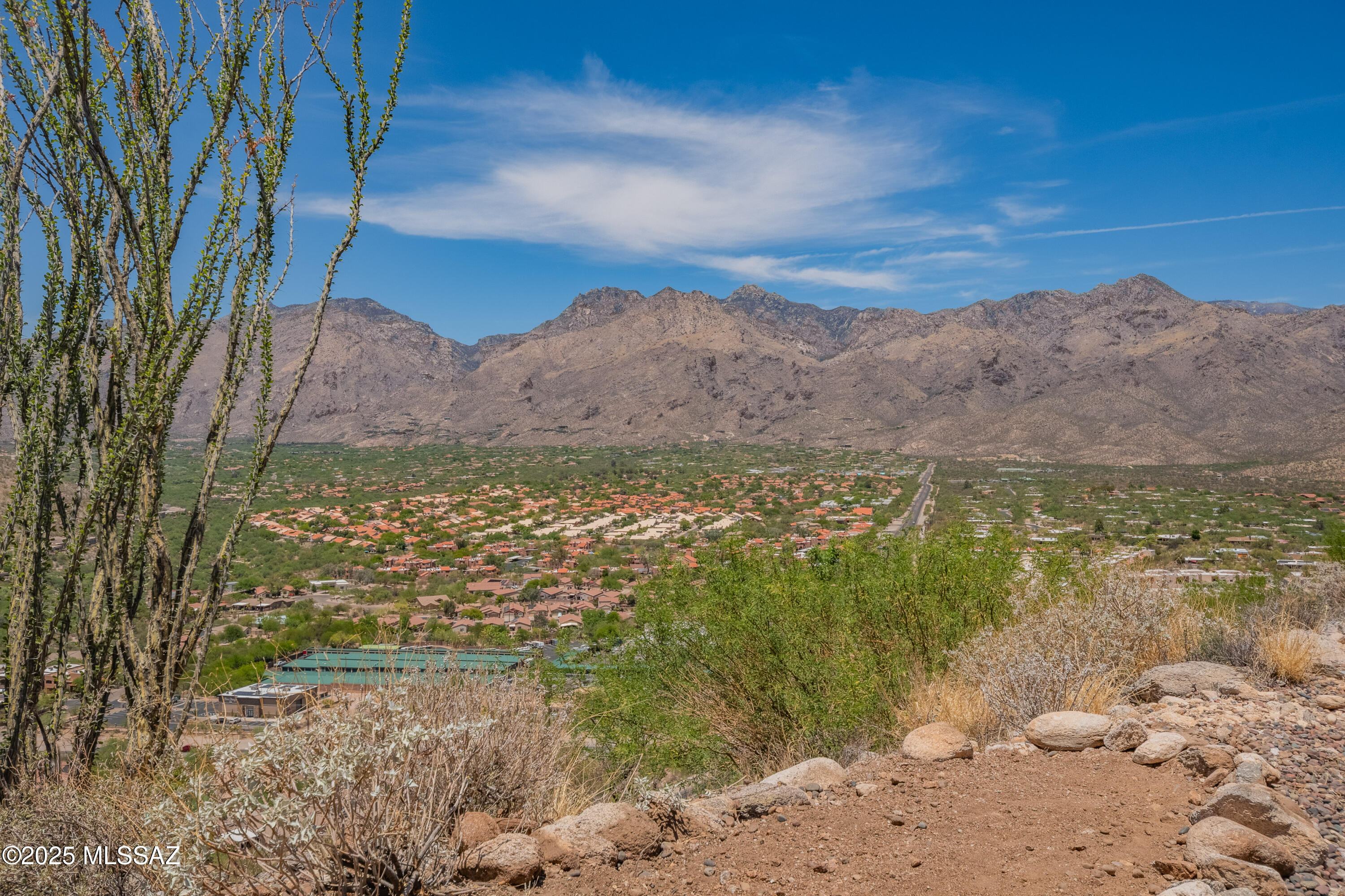 Sabino Mountain (1-290) - Residential