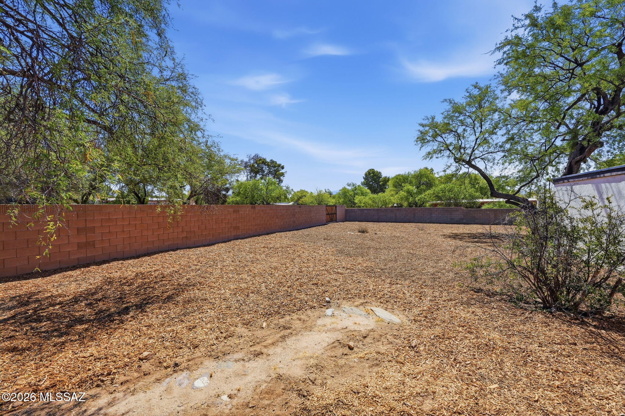 Sabino Vista South NO. 2  (1-93) - Residential