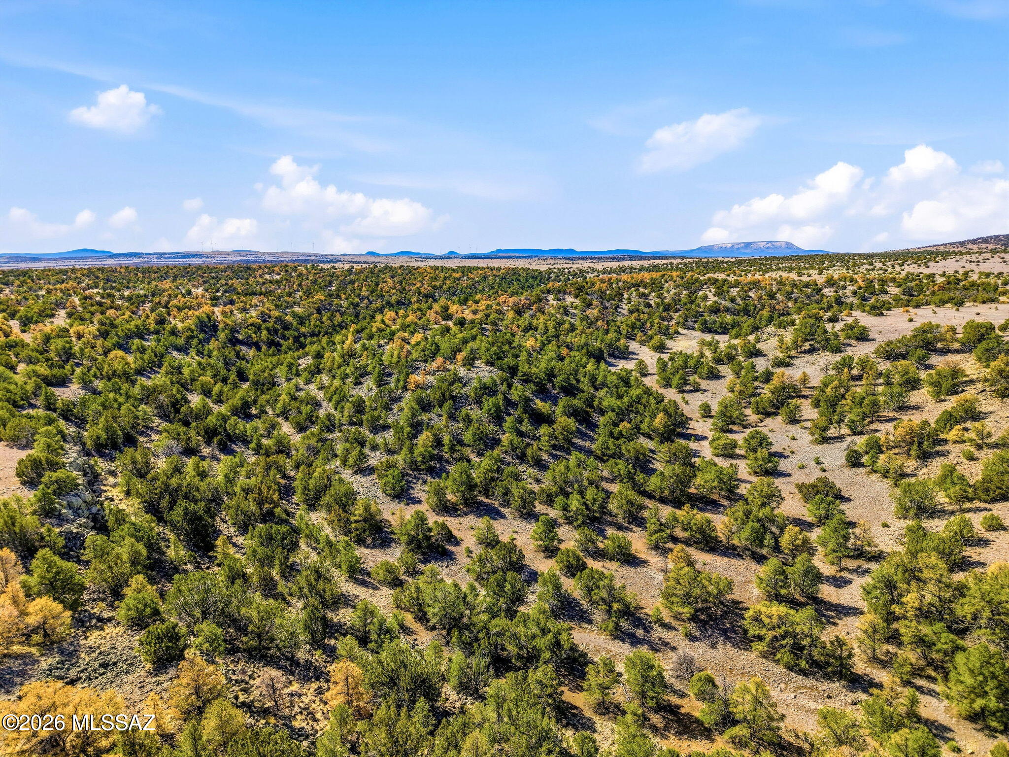 Out Of Pima County - Land