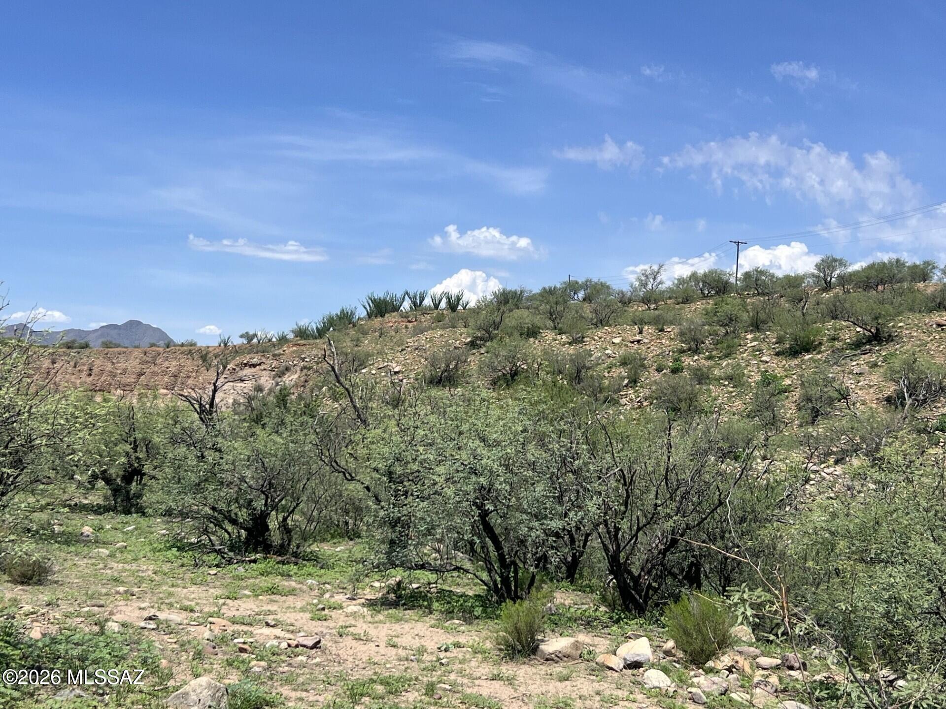 Rio Rico - Land