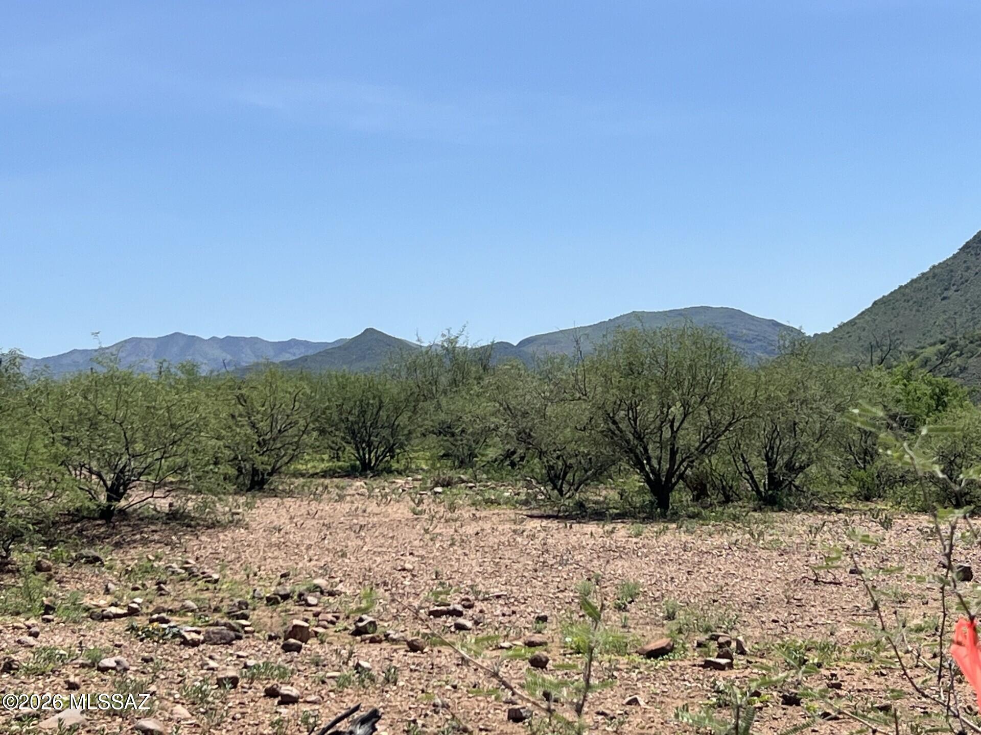 Rio Rico - Land