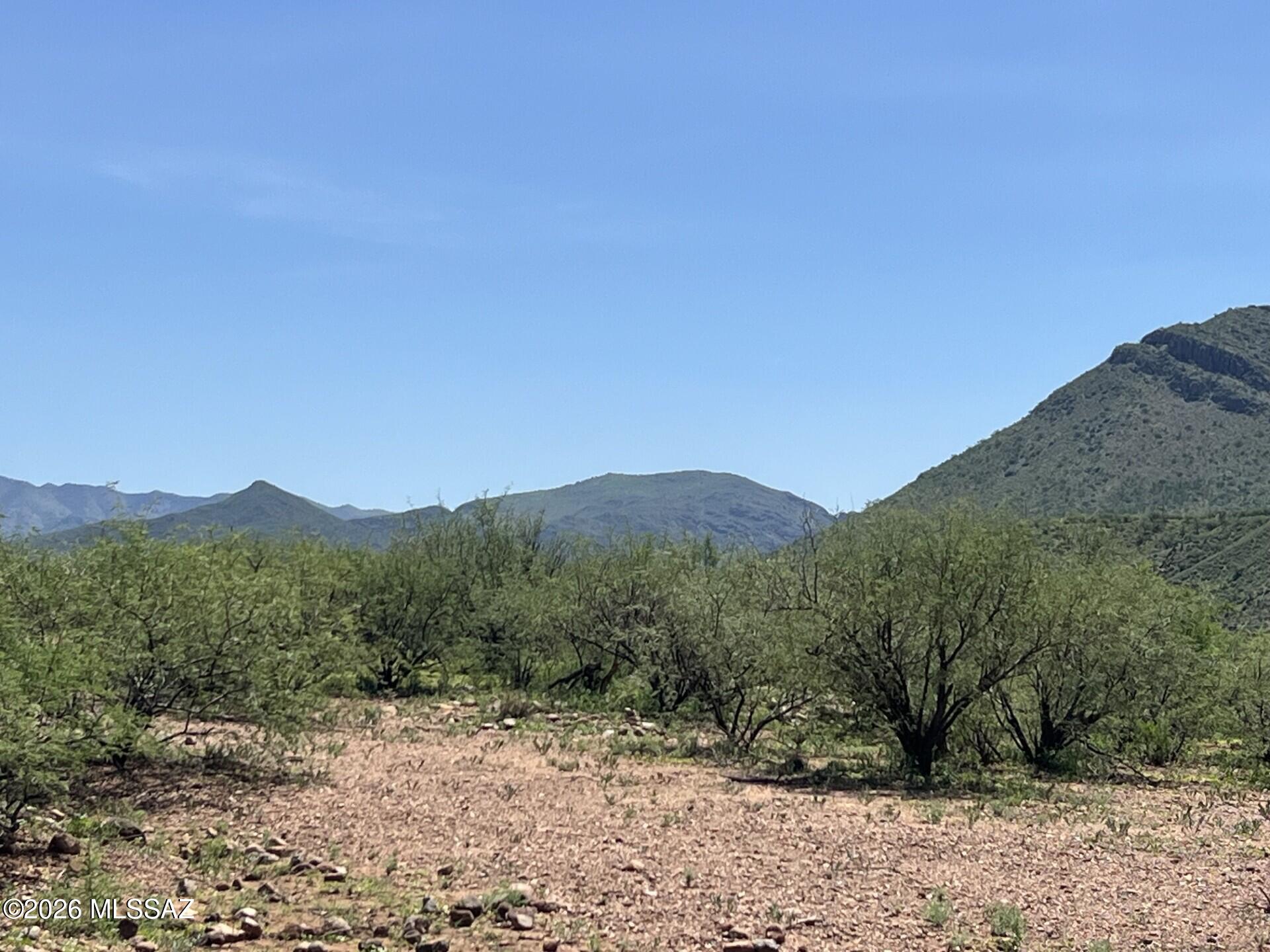 Rio Rico - Land