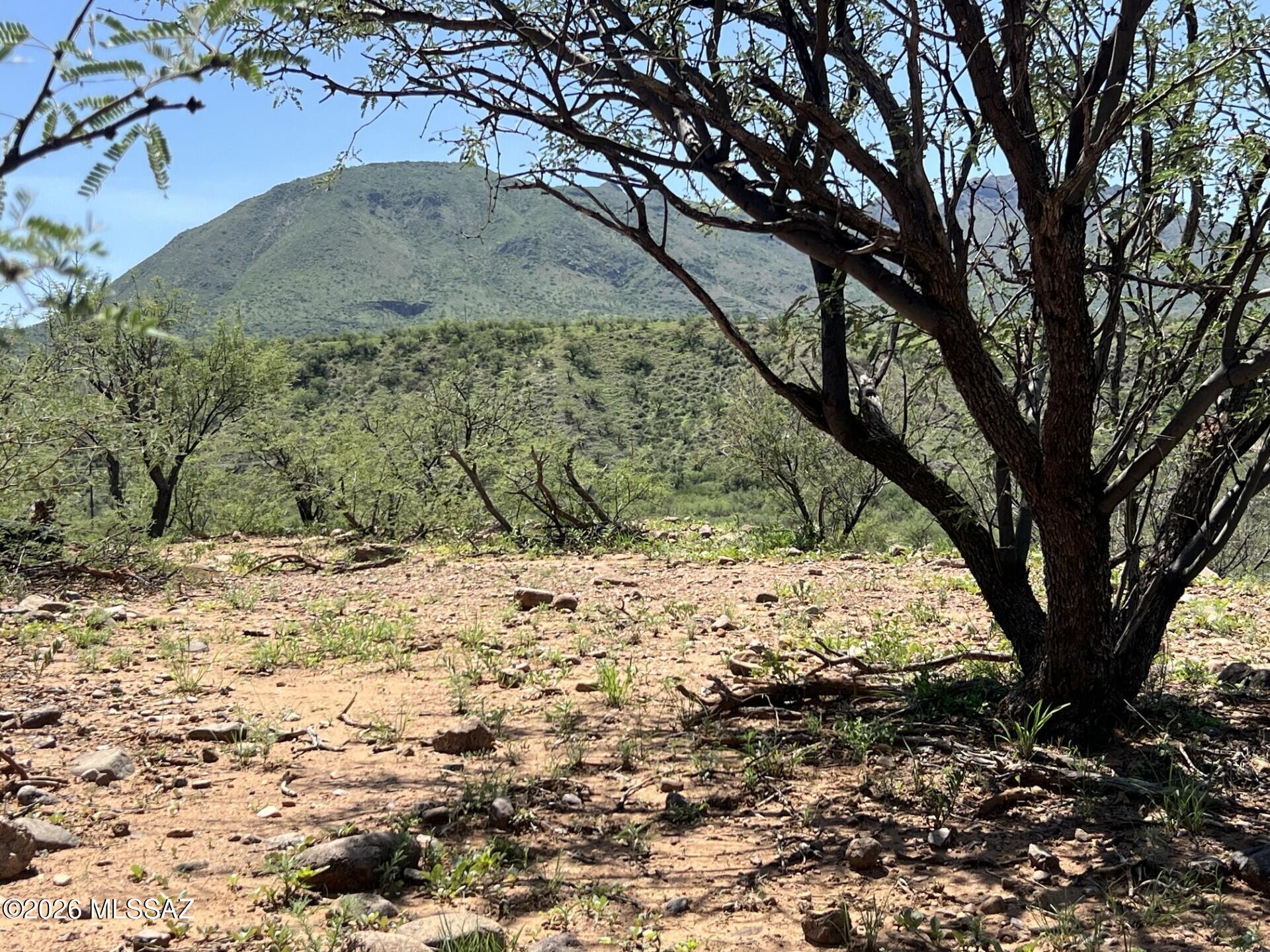 Rio Rico - Land