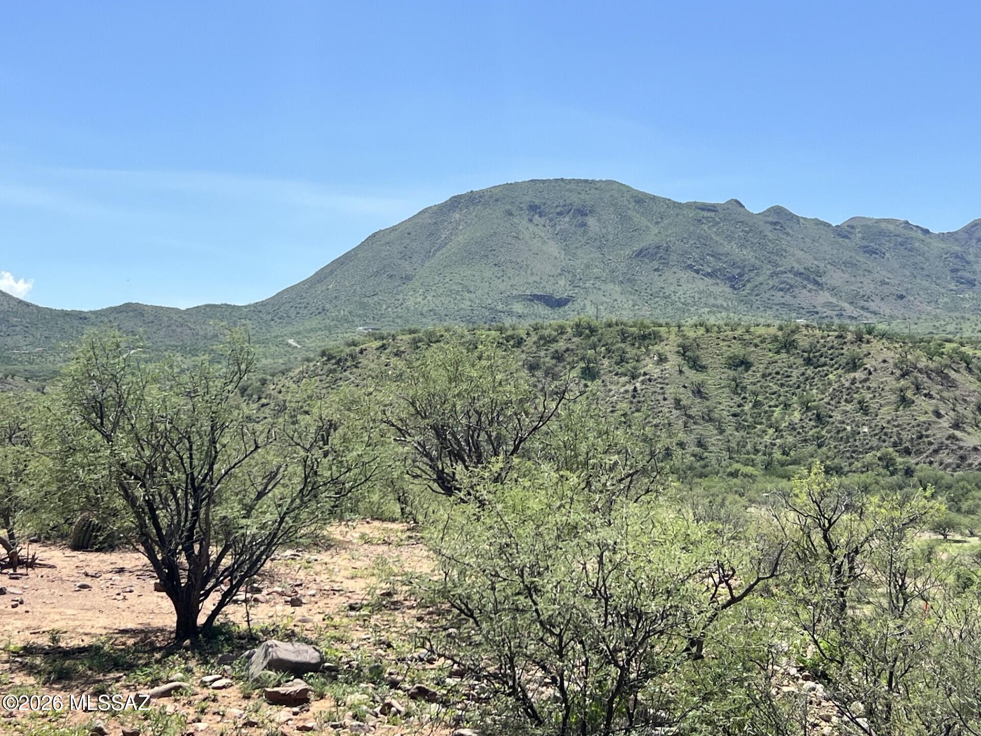 Rio Rico - Land