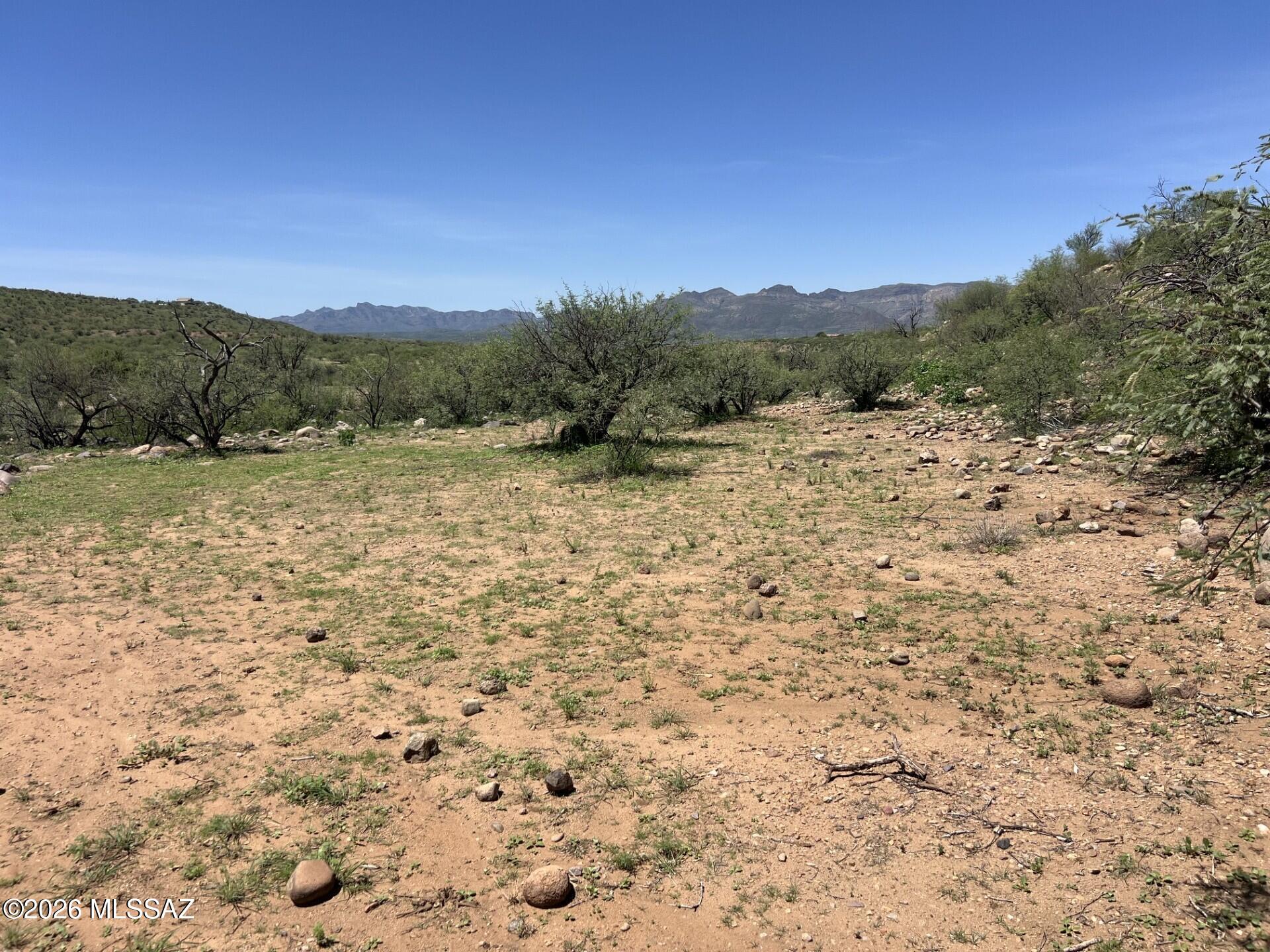 Rio Rico - Land