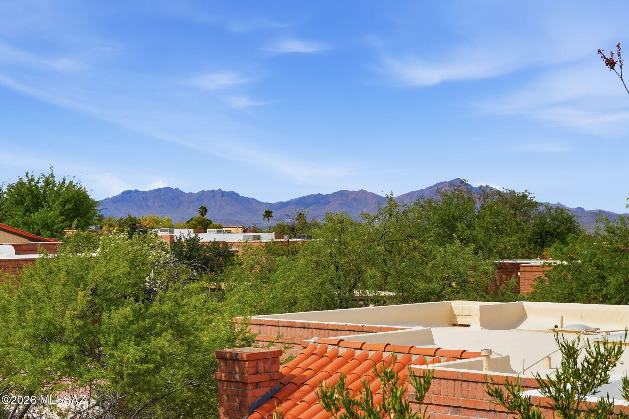 La Cholla Hills(1-313) - Residential