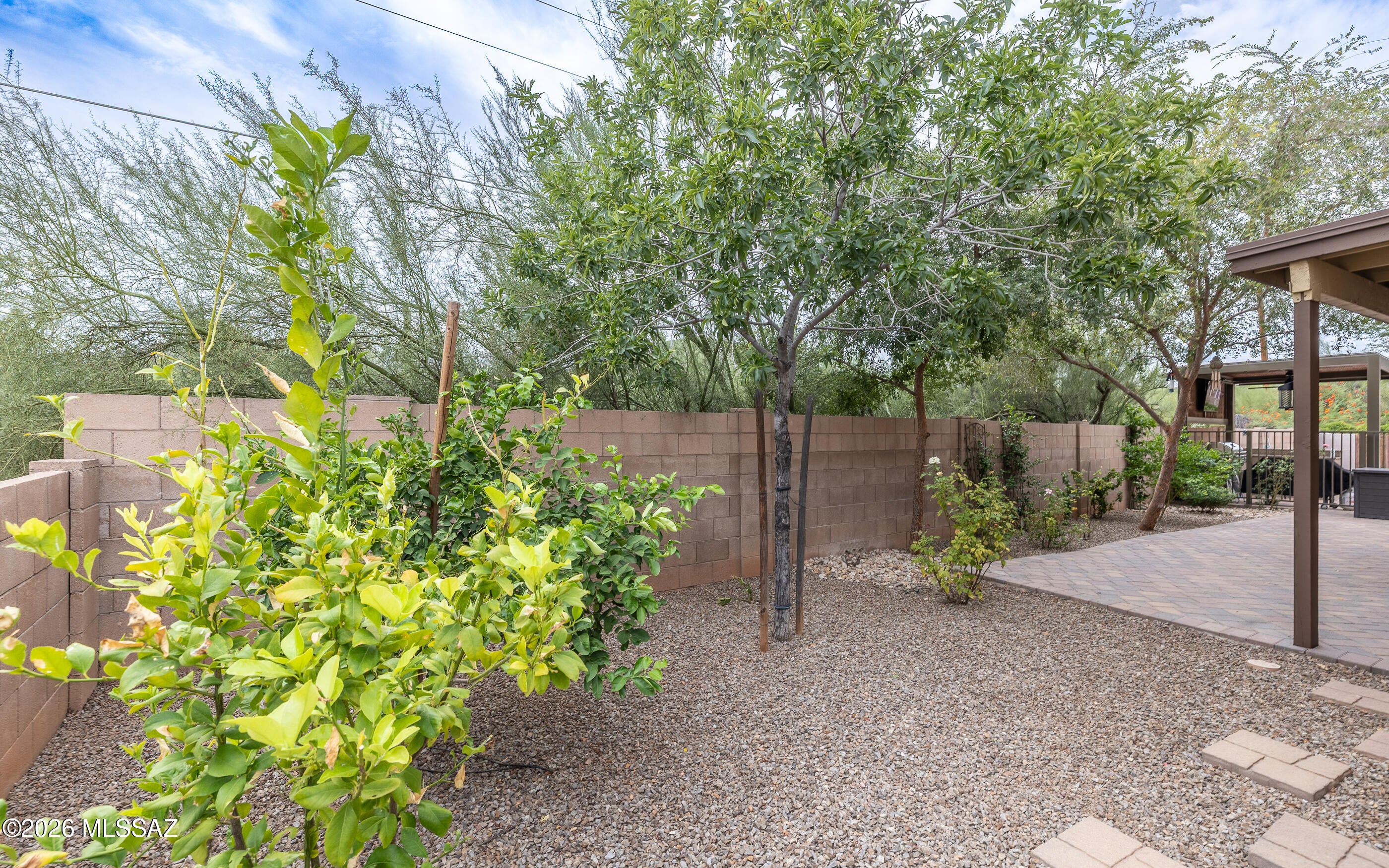 Desert Star (1-98) - Residential