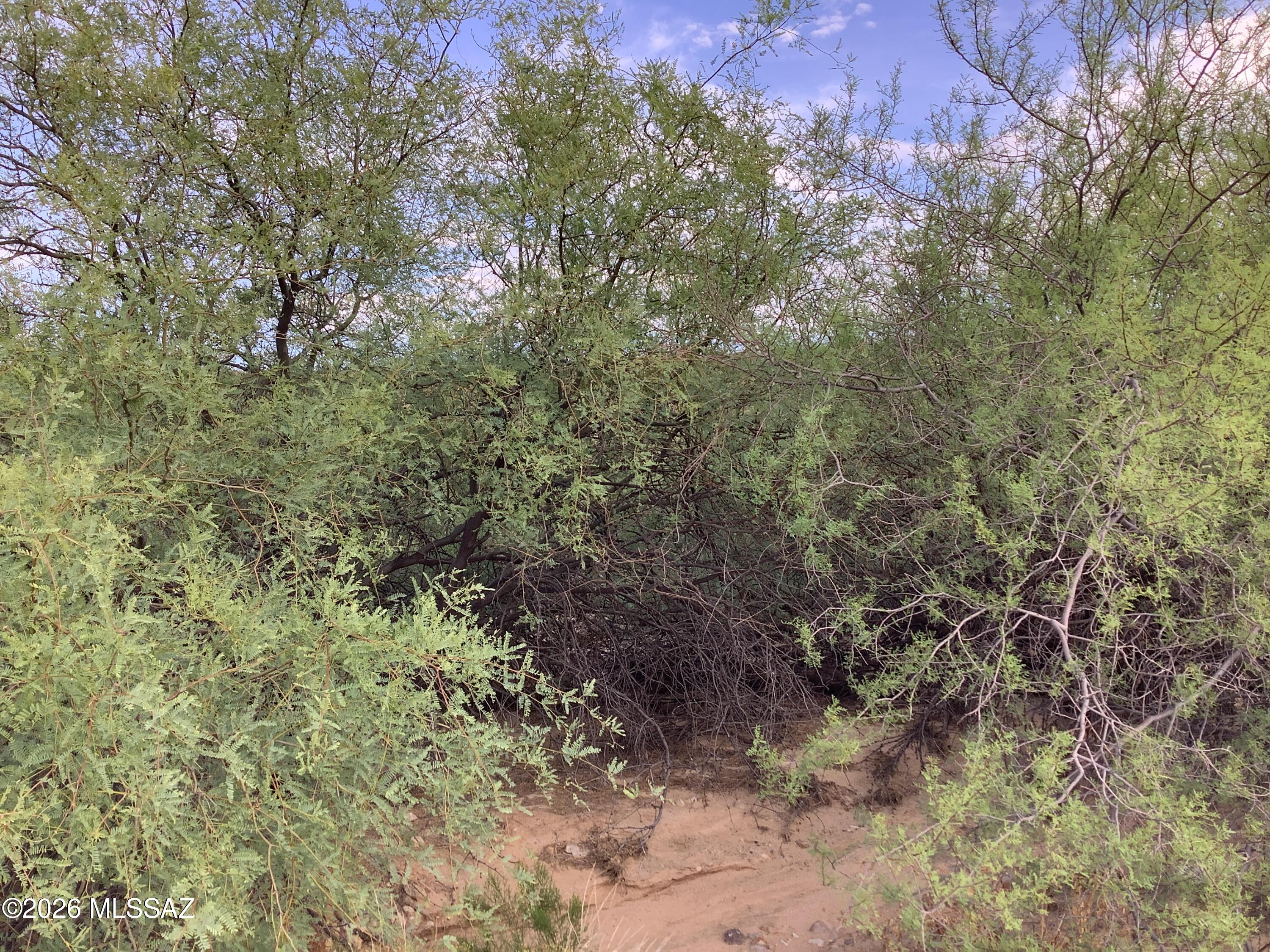 Thunderbird Hills - Land