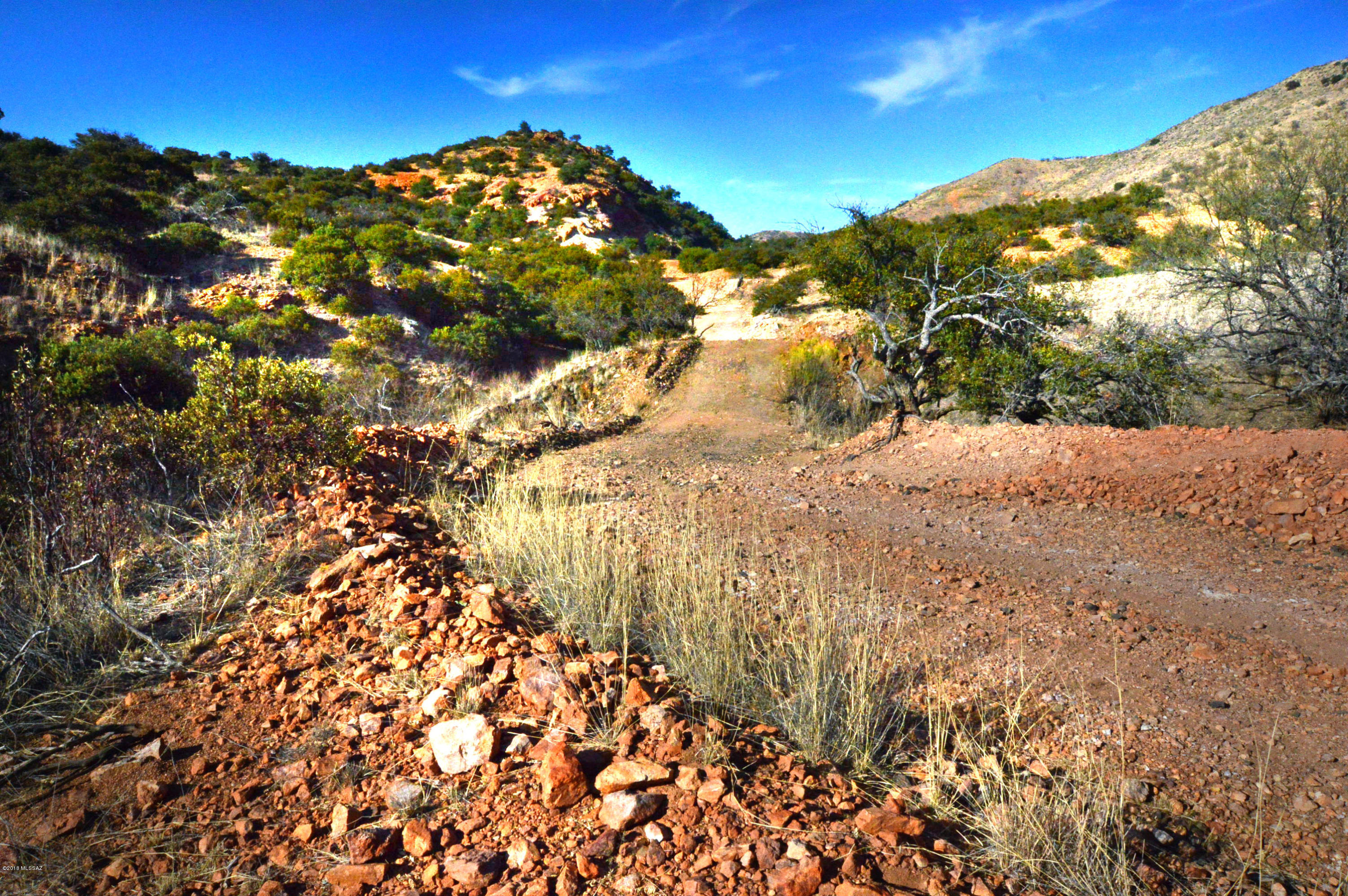 Out Of Pima County - Land