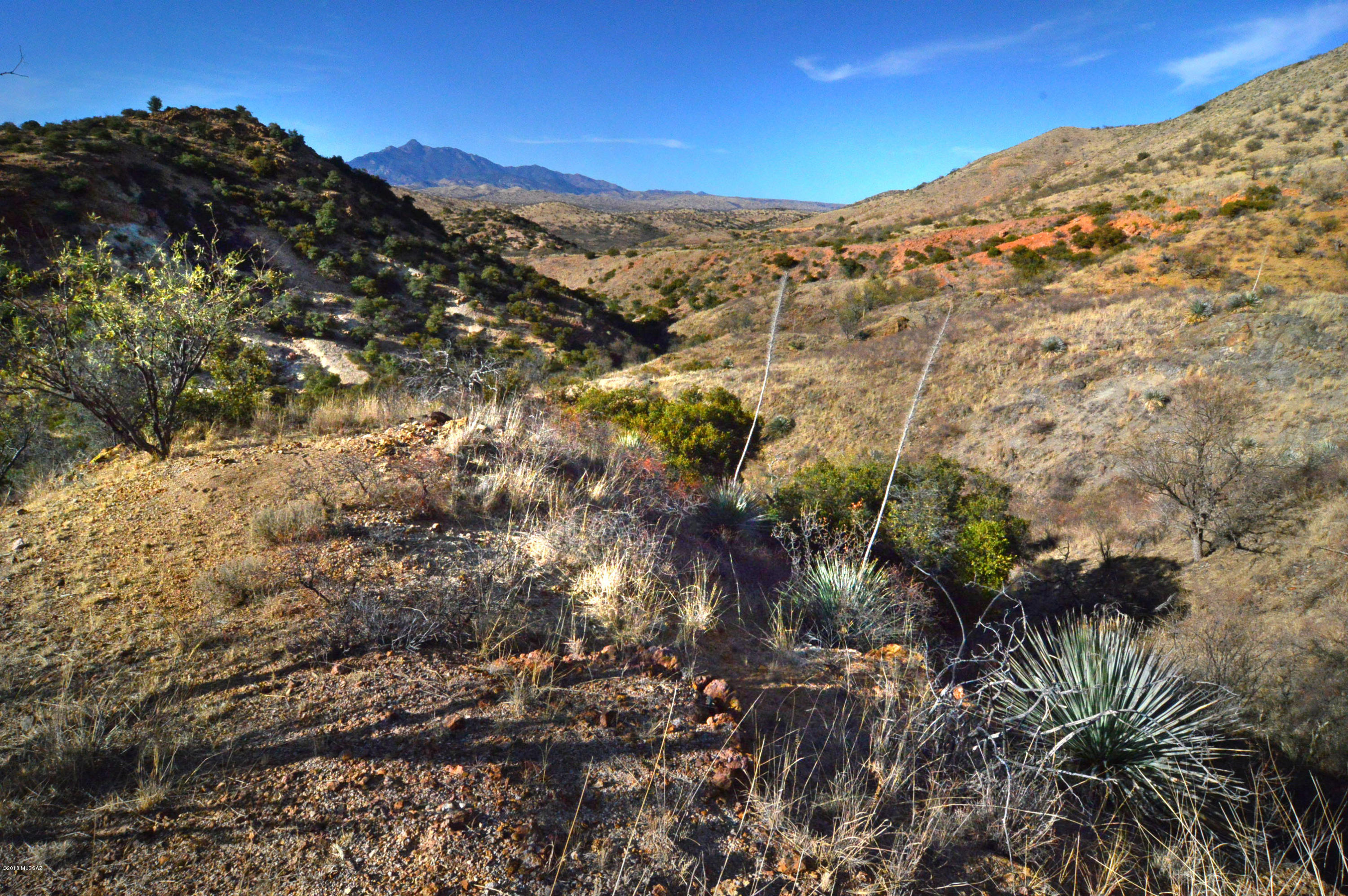 Out Of Pima County - Land