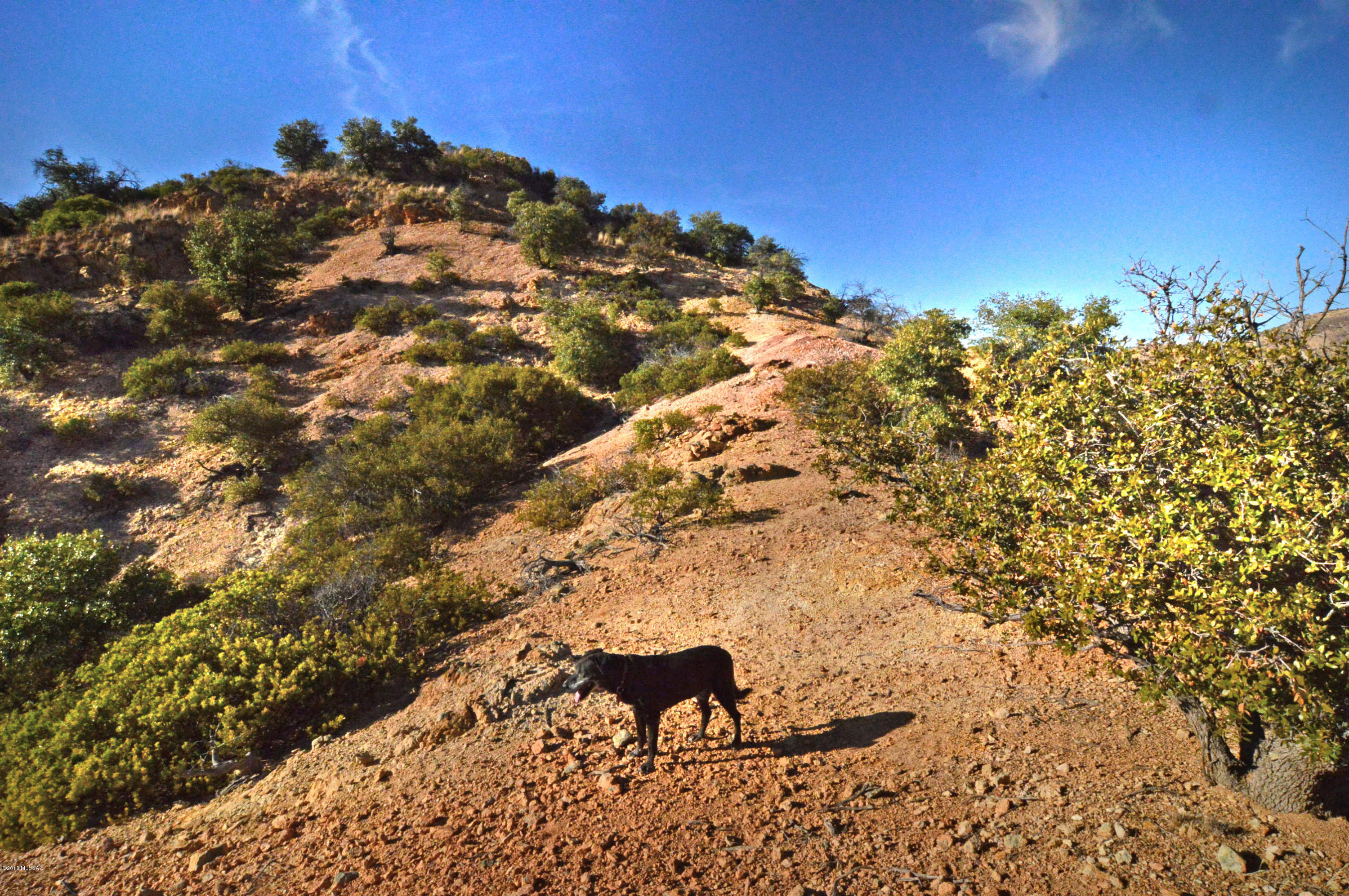Out Of Pima County - Land