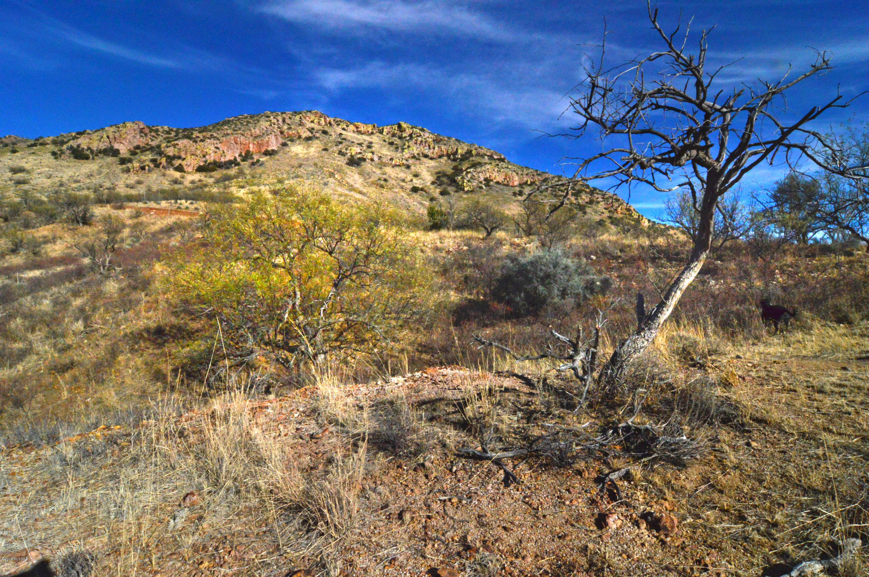 Out Of Pima County - Land
