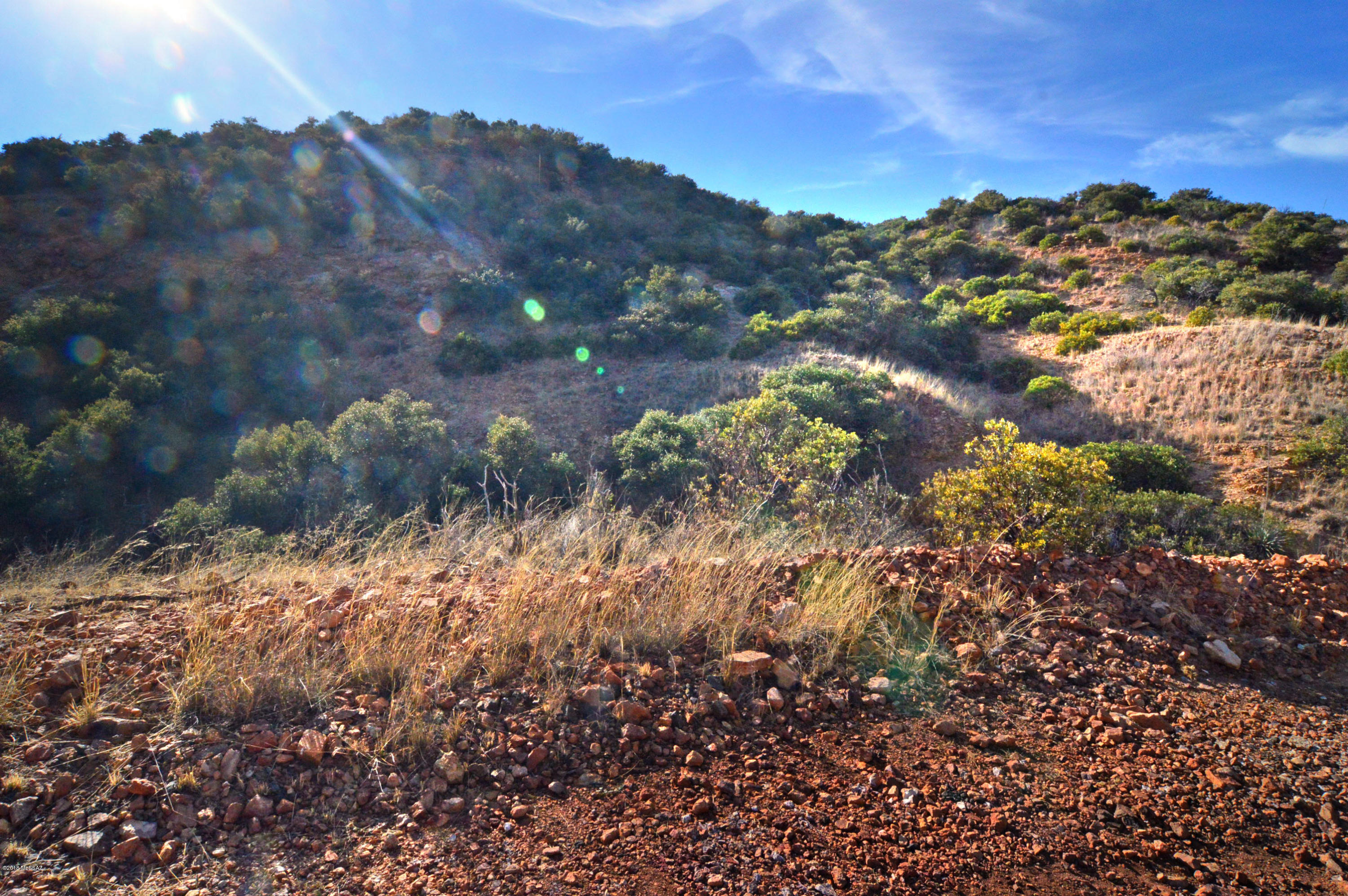 Out Of Pima County - Land