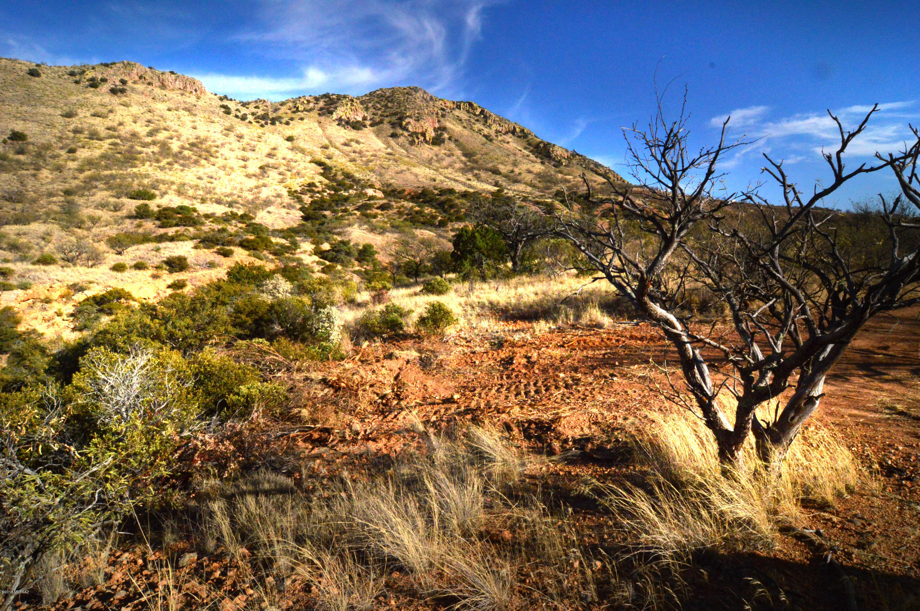 Out Of Pima County - Land