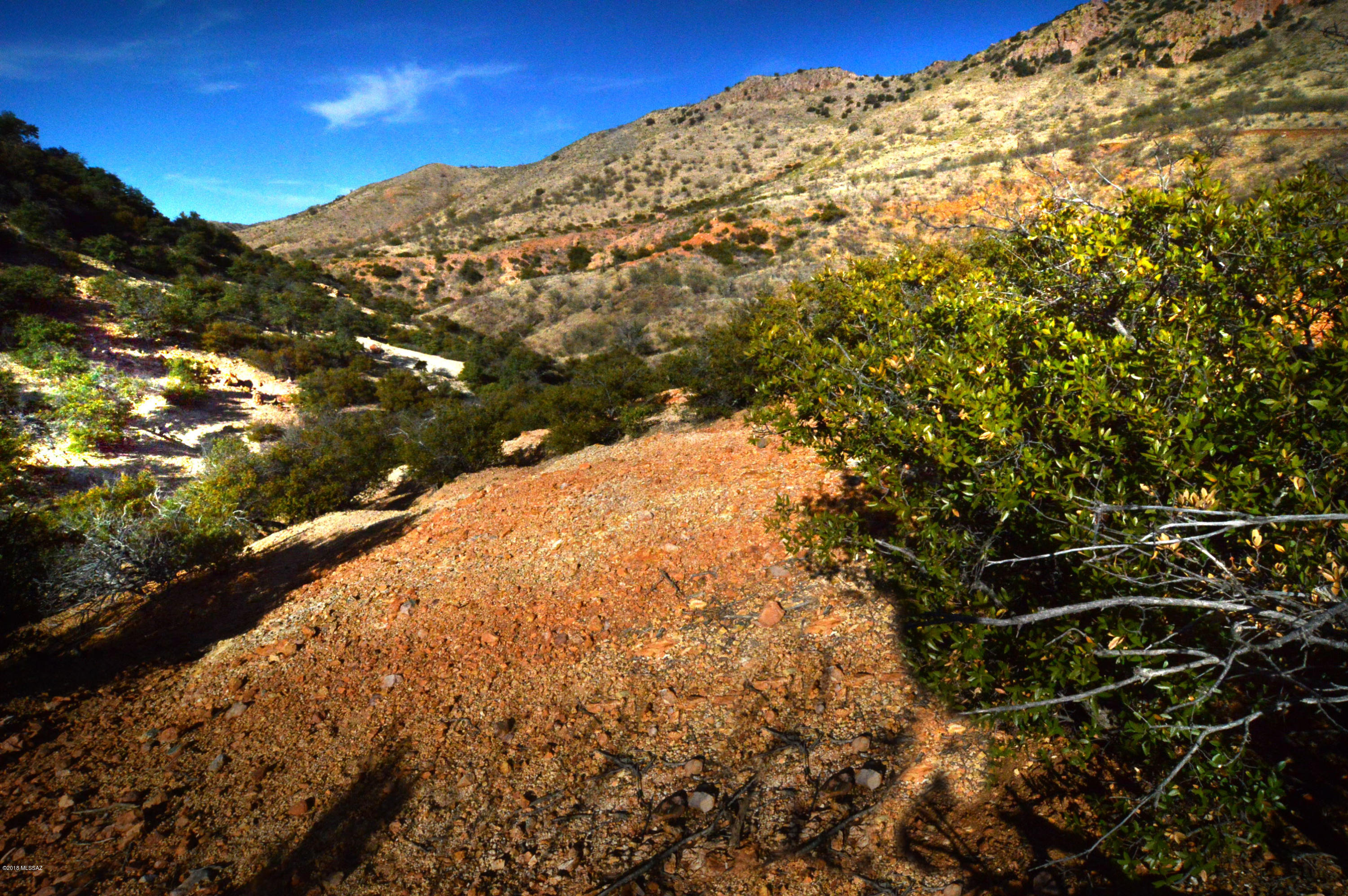 Out Of Pima County - Land
